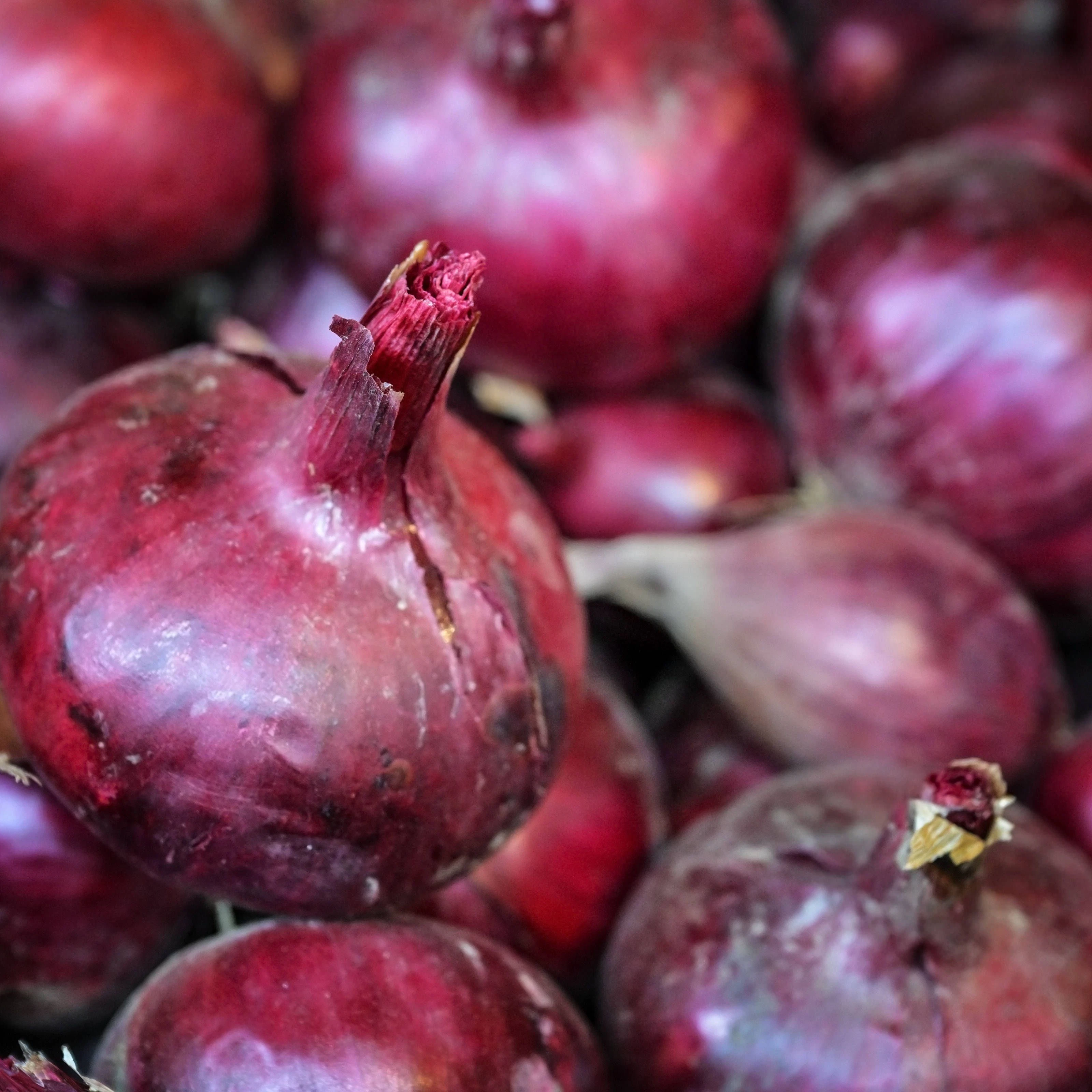 Rote Zwiebeln eignen sich hervorragend zum Reinigen von Wildleder.