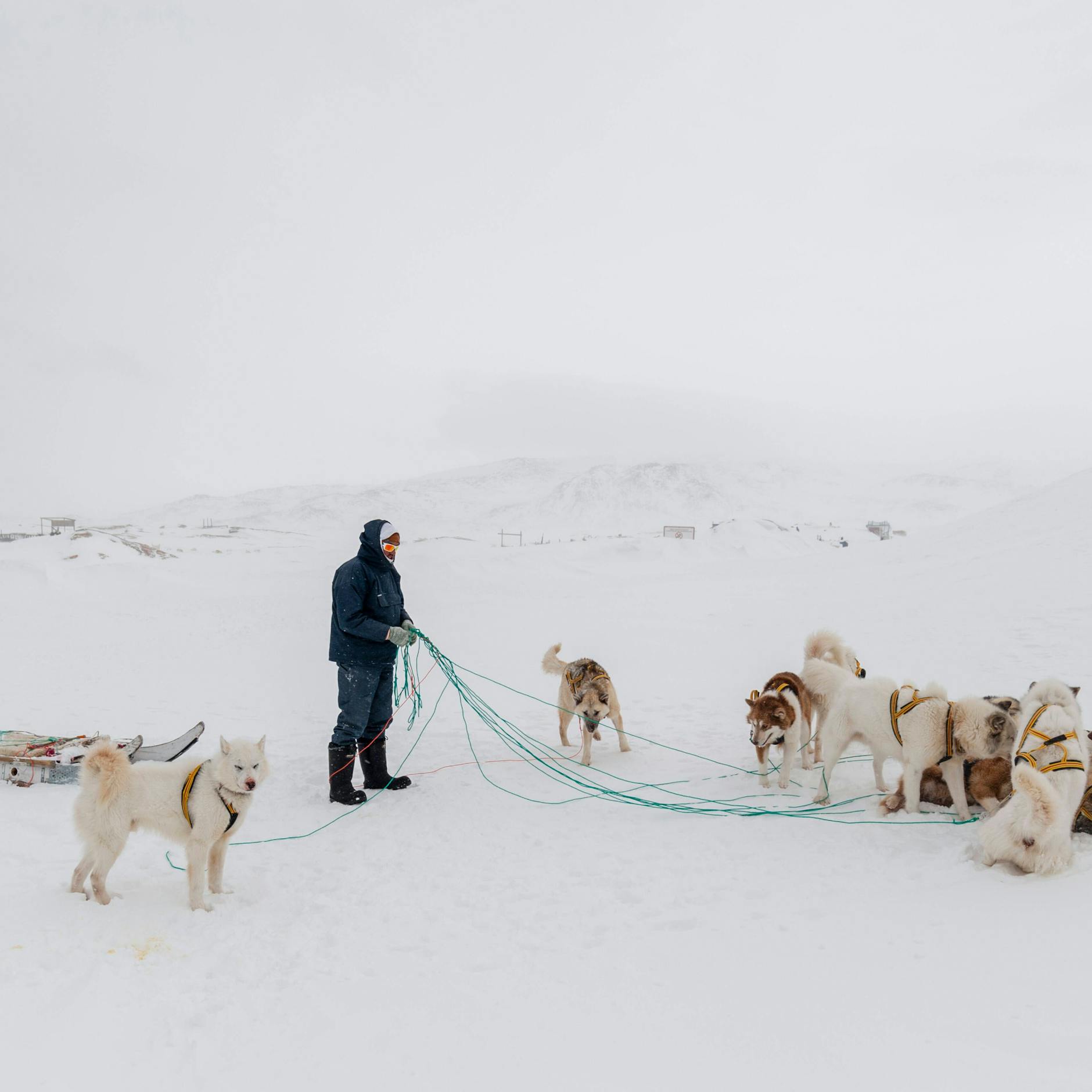 Image - Überleben in Grönland: Was will Trump an einem der schönsten Plätze der Welt?