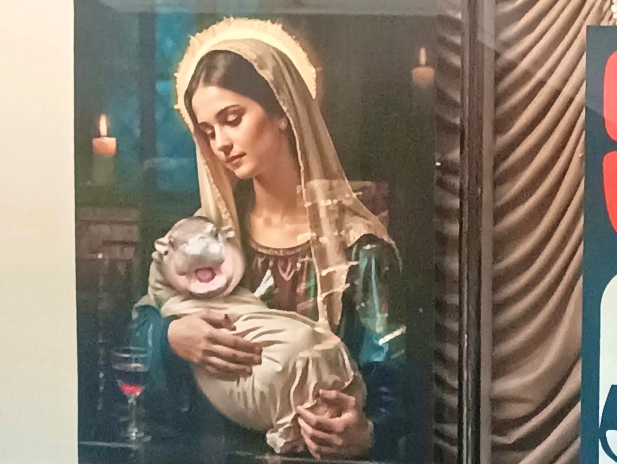 Image - Hype um Moo Deng! So irre wird Thailands Zwerghippo vermarktet