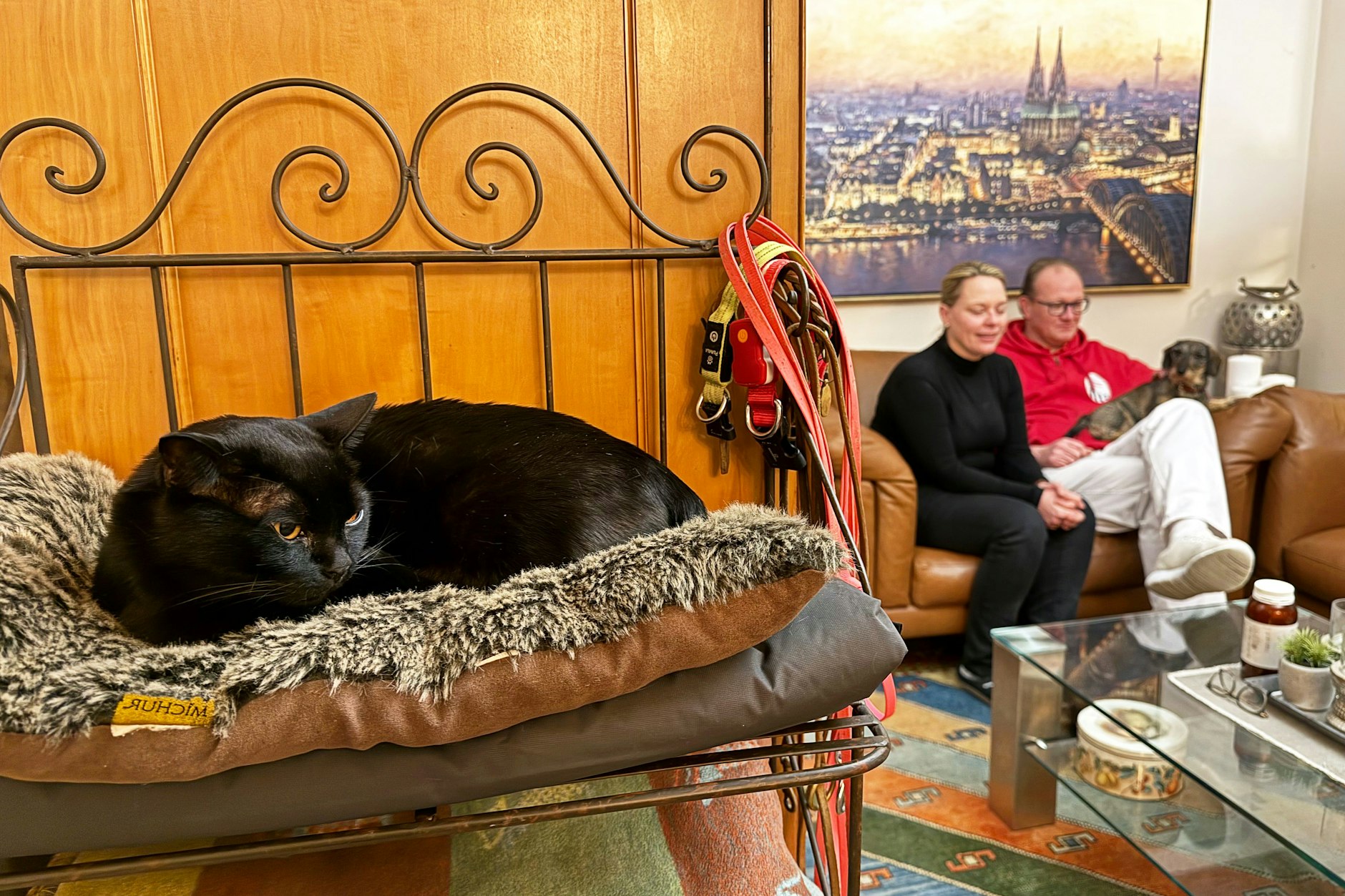 Kater Aramis wieder zu Hause auf Norderney, im Hintergrund sitzen die Besitzer des Tieres, Catharina Majert und ihr Mann Gunnar.