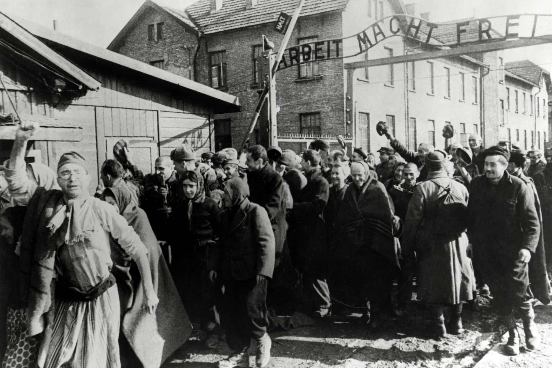 Überlebende von Auschwitz verlassen das Lager.
