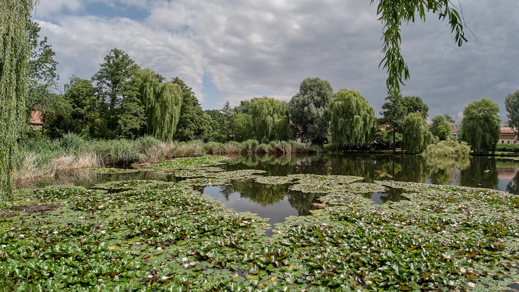 Tempelhof-Schöneberg: Bauarbeiten am Dorfteich Lichtenrade starten