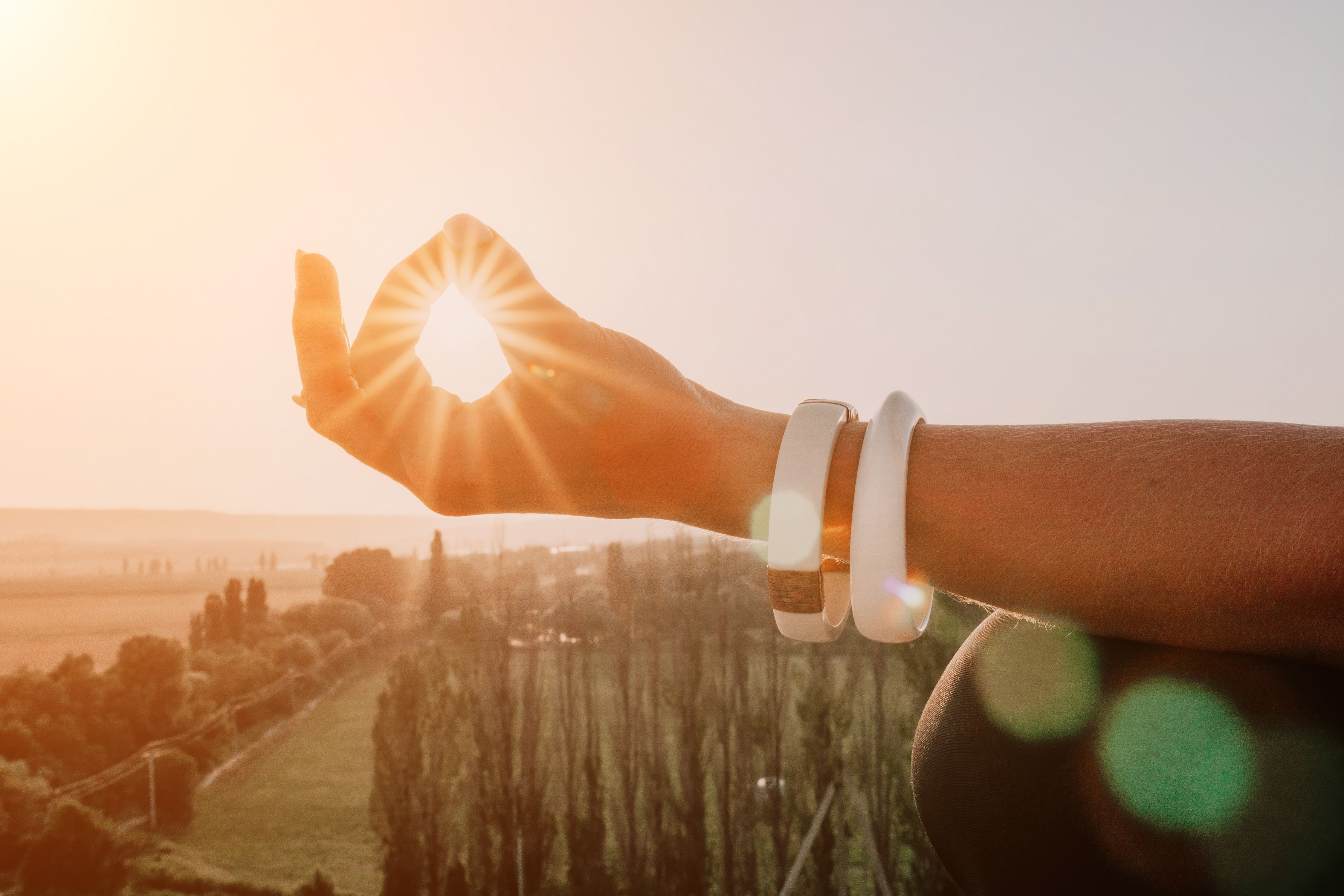 Leitspruch und Weisheit der Woche (22. bis 29.1.) – Ihre Inspiration