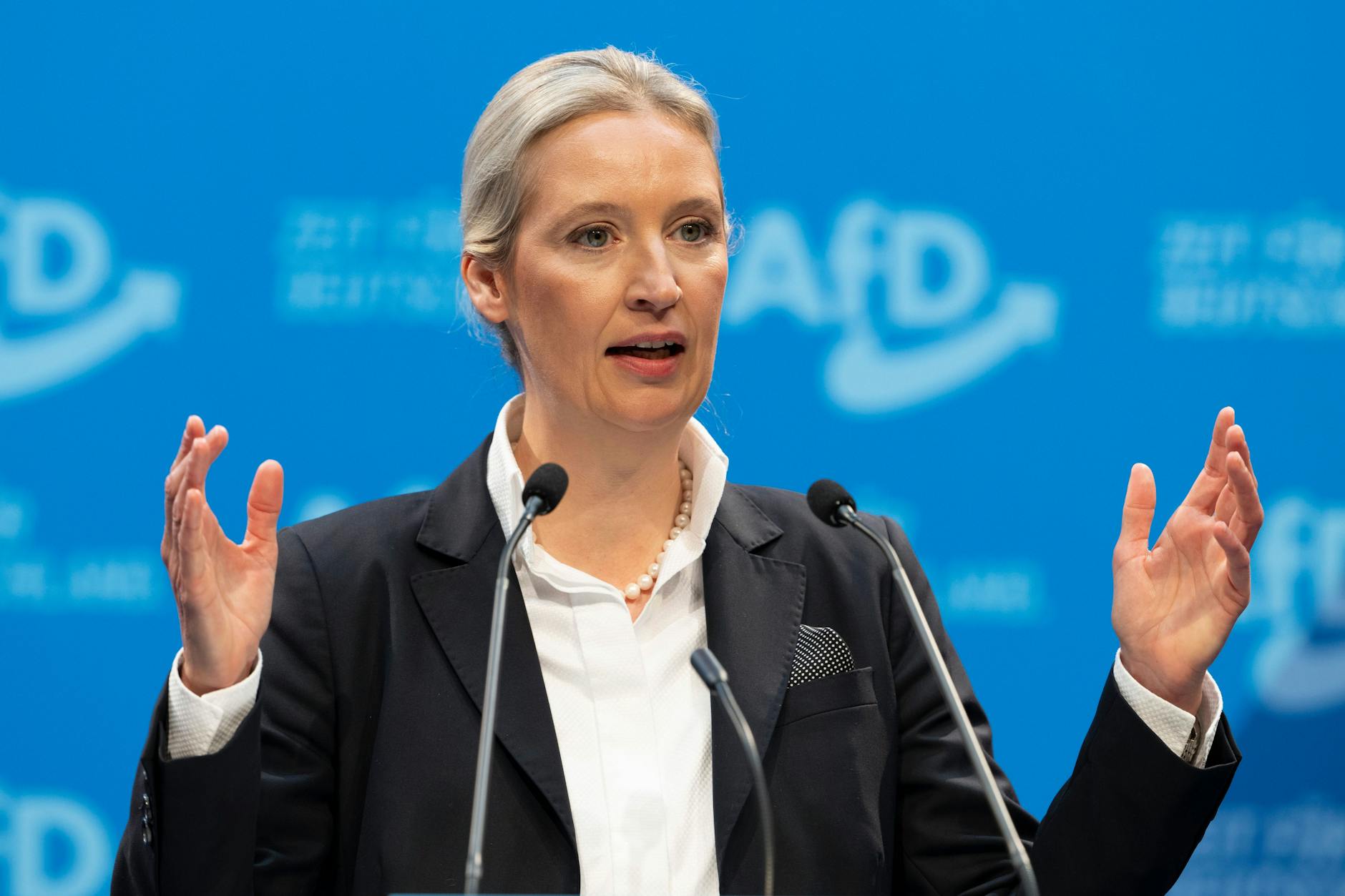 Alice Weidel von der AfD sprach sich positiv über den Remigrationsbegriff aus.