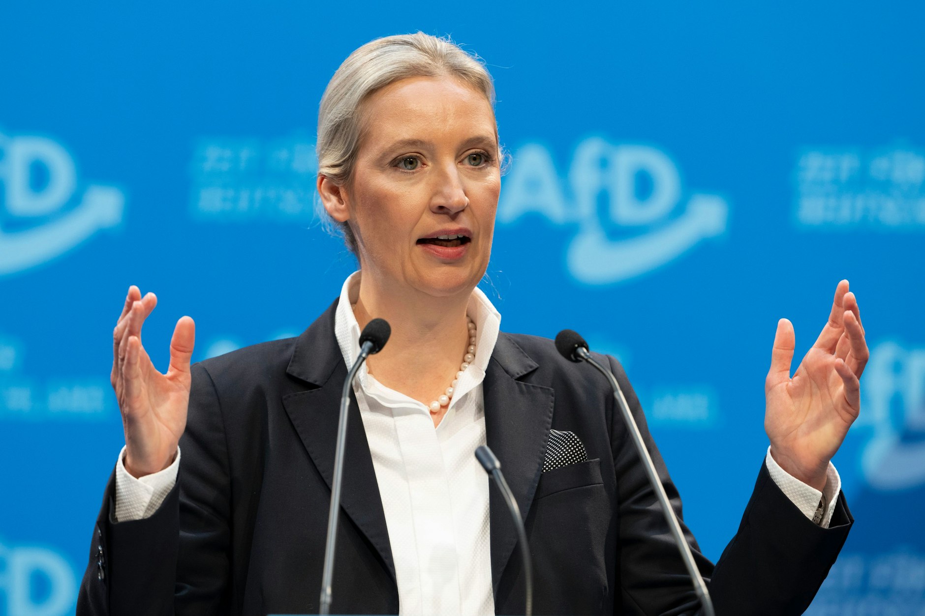 Alice Weidel von der AfD sprach sich positiv über den Remigrationsbegriff aus.