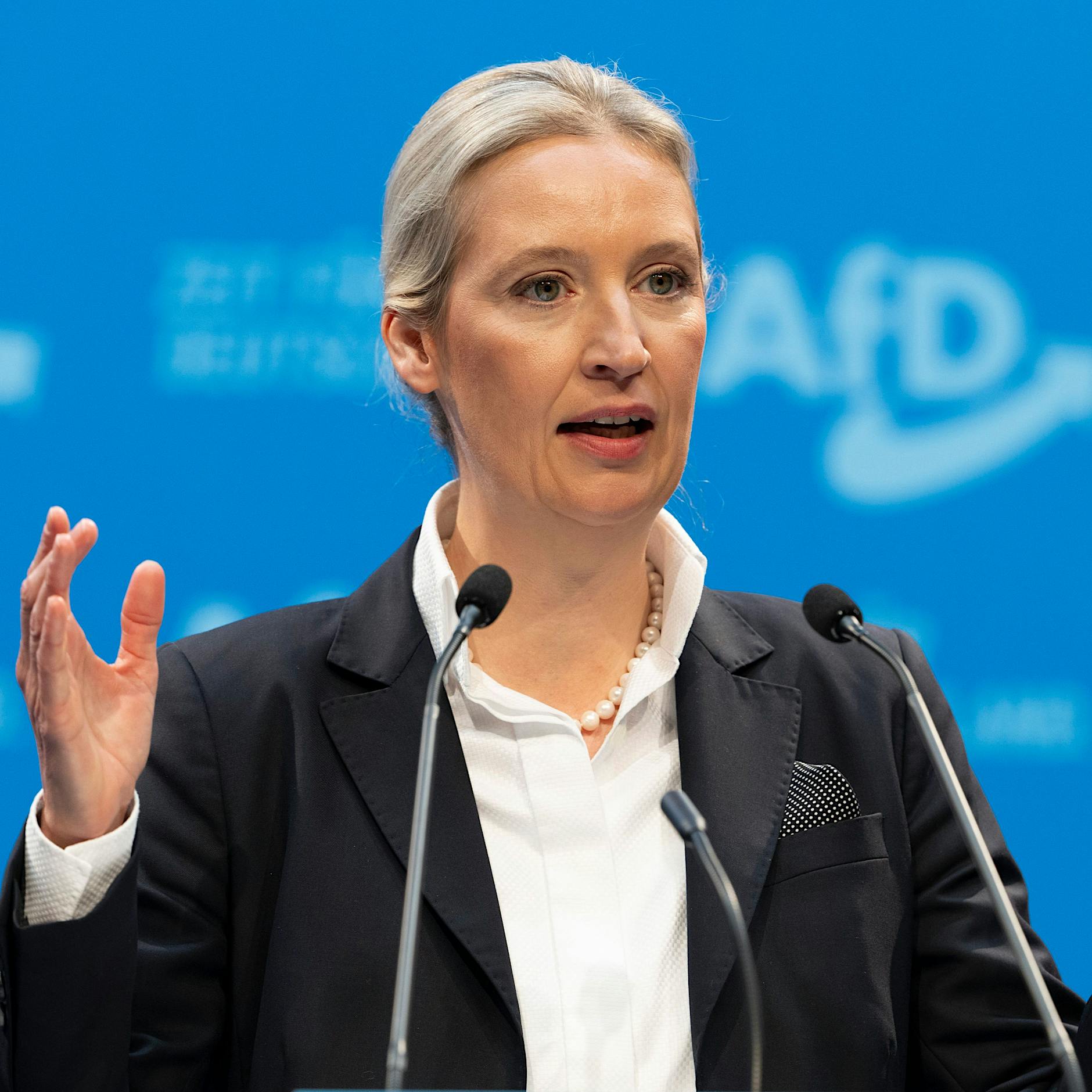 Licht an für die AfD: Das sind die Nebenwirkungen der „Remigration“