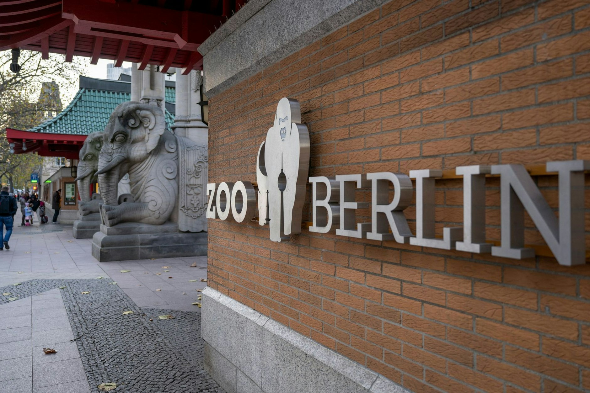 Der Zoo Berlin öffnet ab 24. Januar wieder seine Pforten.