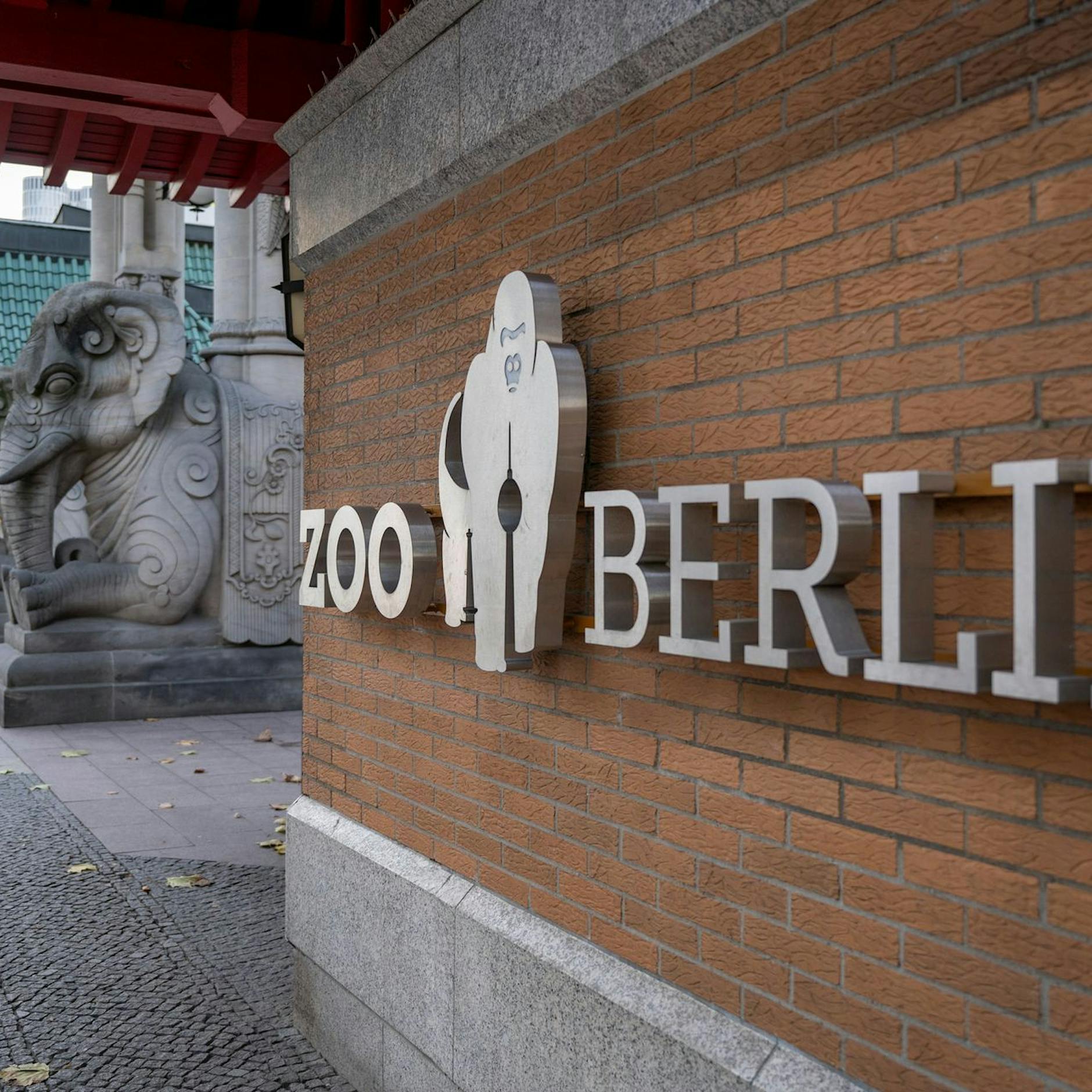 Nach Seuche: Zoo macht wieder auf – aber nicht jeder kann rein!