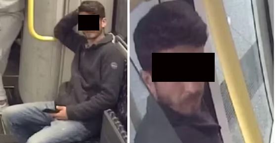 Widerliche Sexualstraftat im Park – Verdächtiger festgenommen