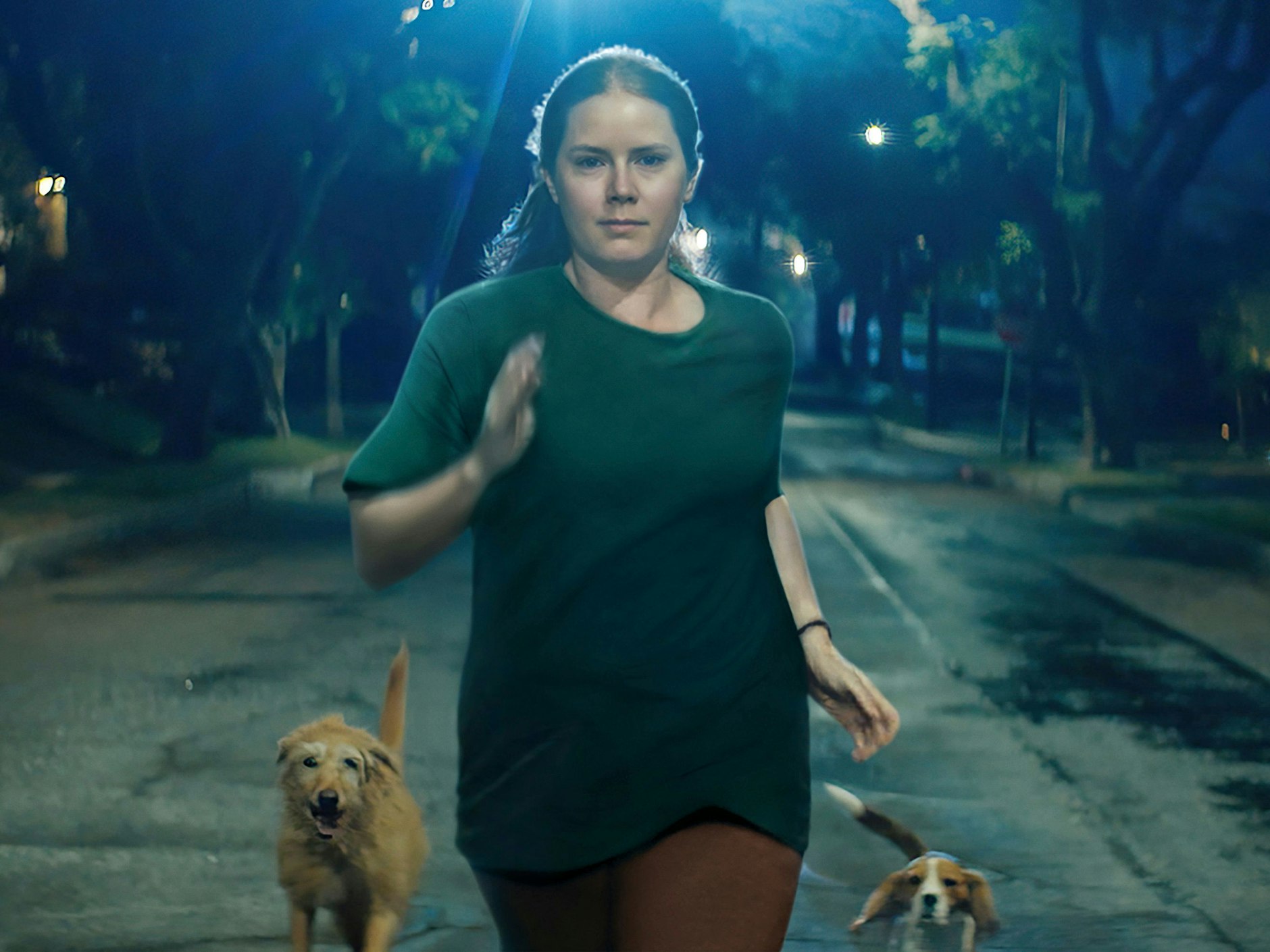 Amy Adams in einer Sezne der Horror-Satire „Nightbitch“.