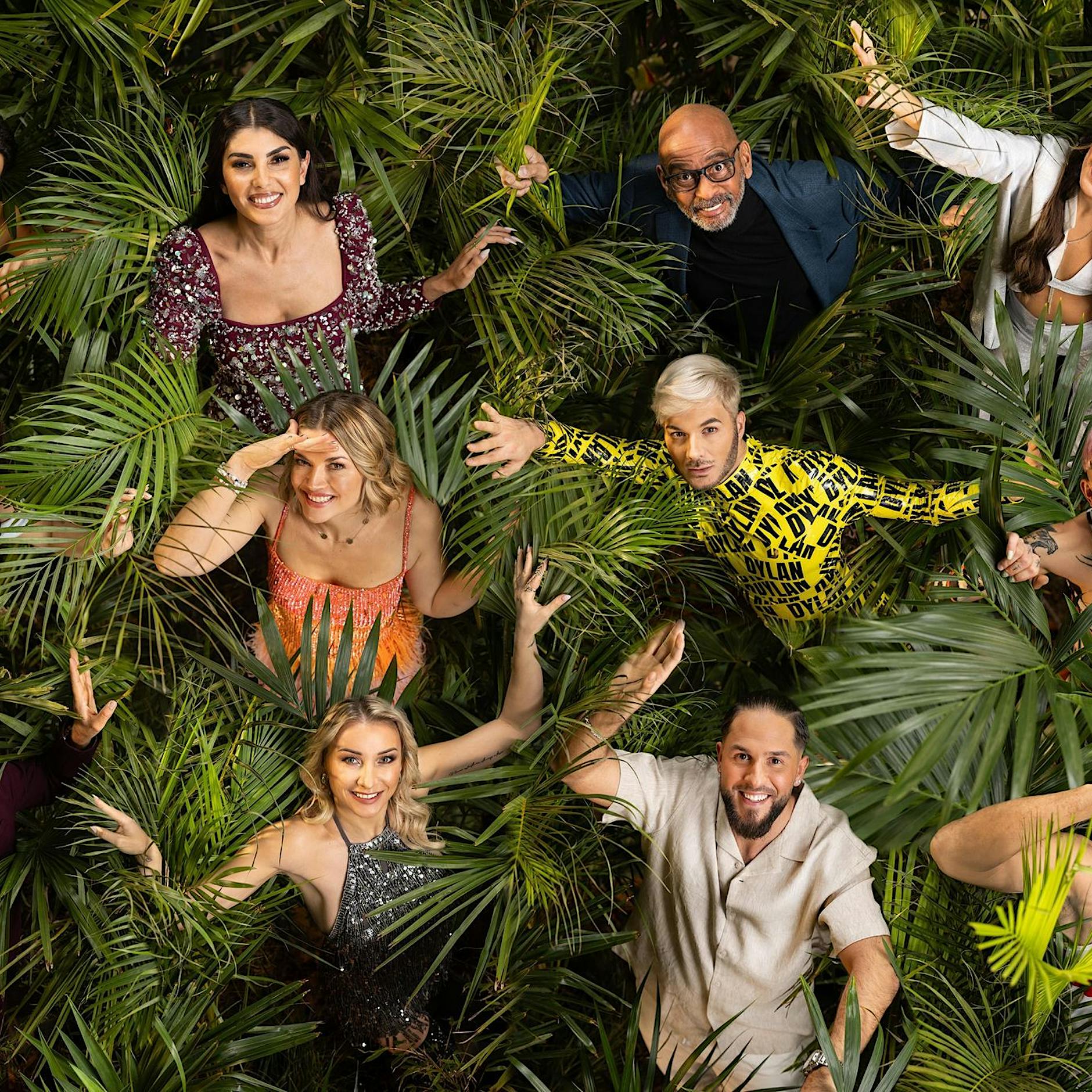 Dschungelcamp startet heute: Insider verrät die größten Geheimnisse