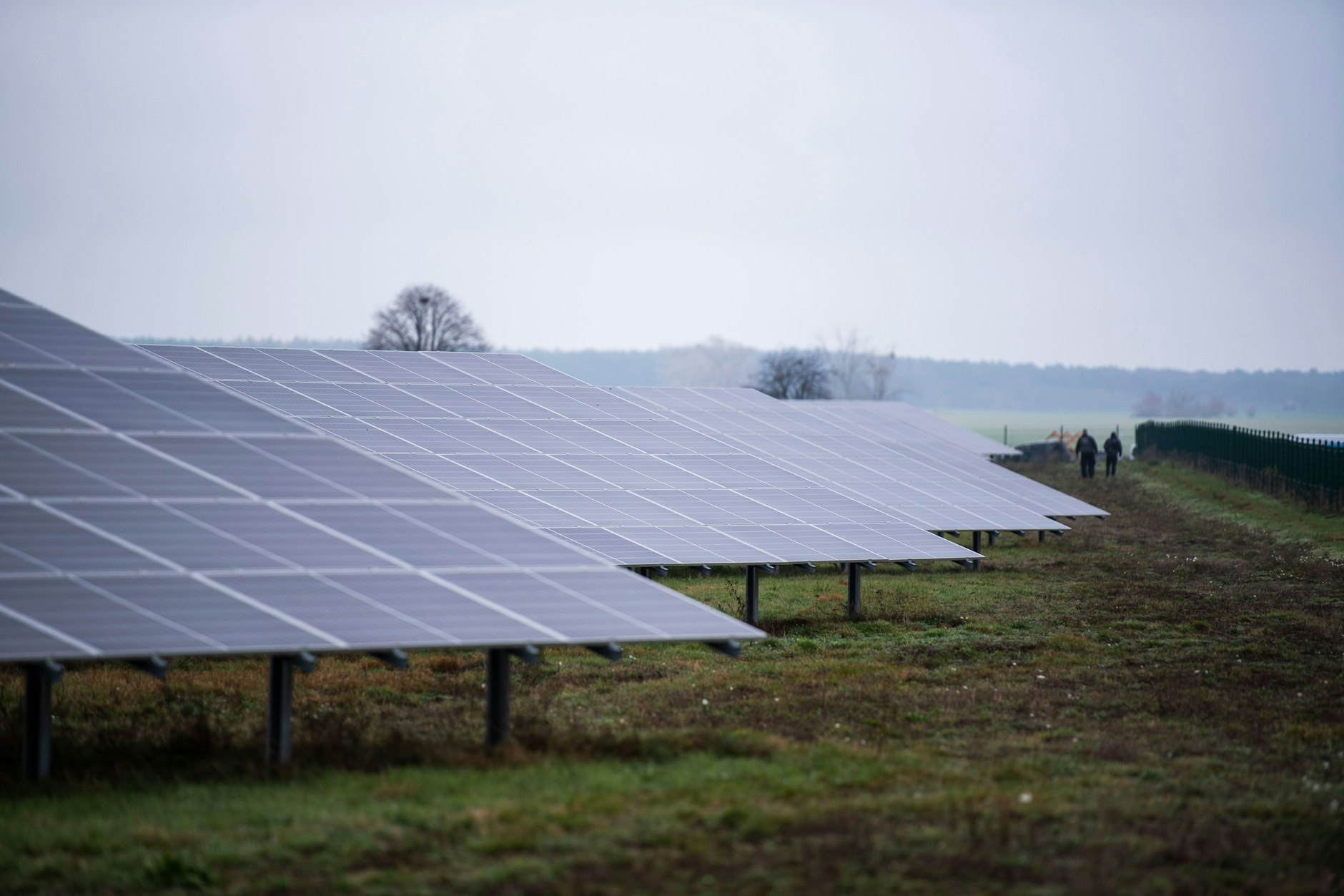 Neue Solarparks sollten keine staatliche Förderung mehr erhalten, für bestehende Parks könnte der Bau von Batteriespeichern staatlich finanziert werden, schlägt Manuel Frondel vor.