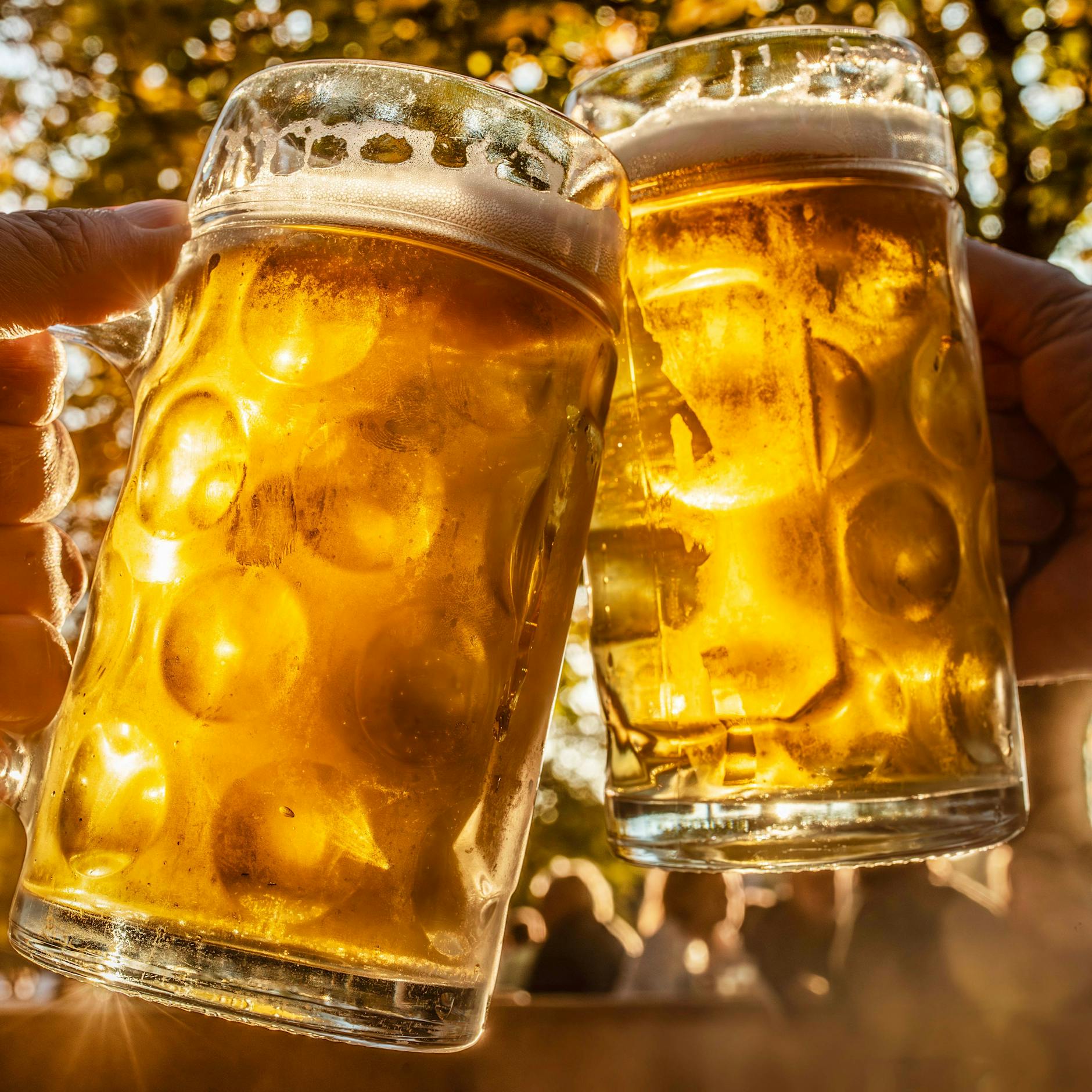 Berliner Partei: Biersteuer und Hundesteuer weg – aber ganz flott!