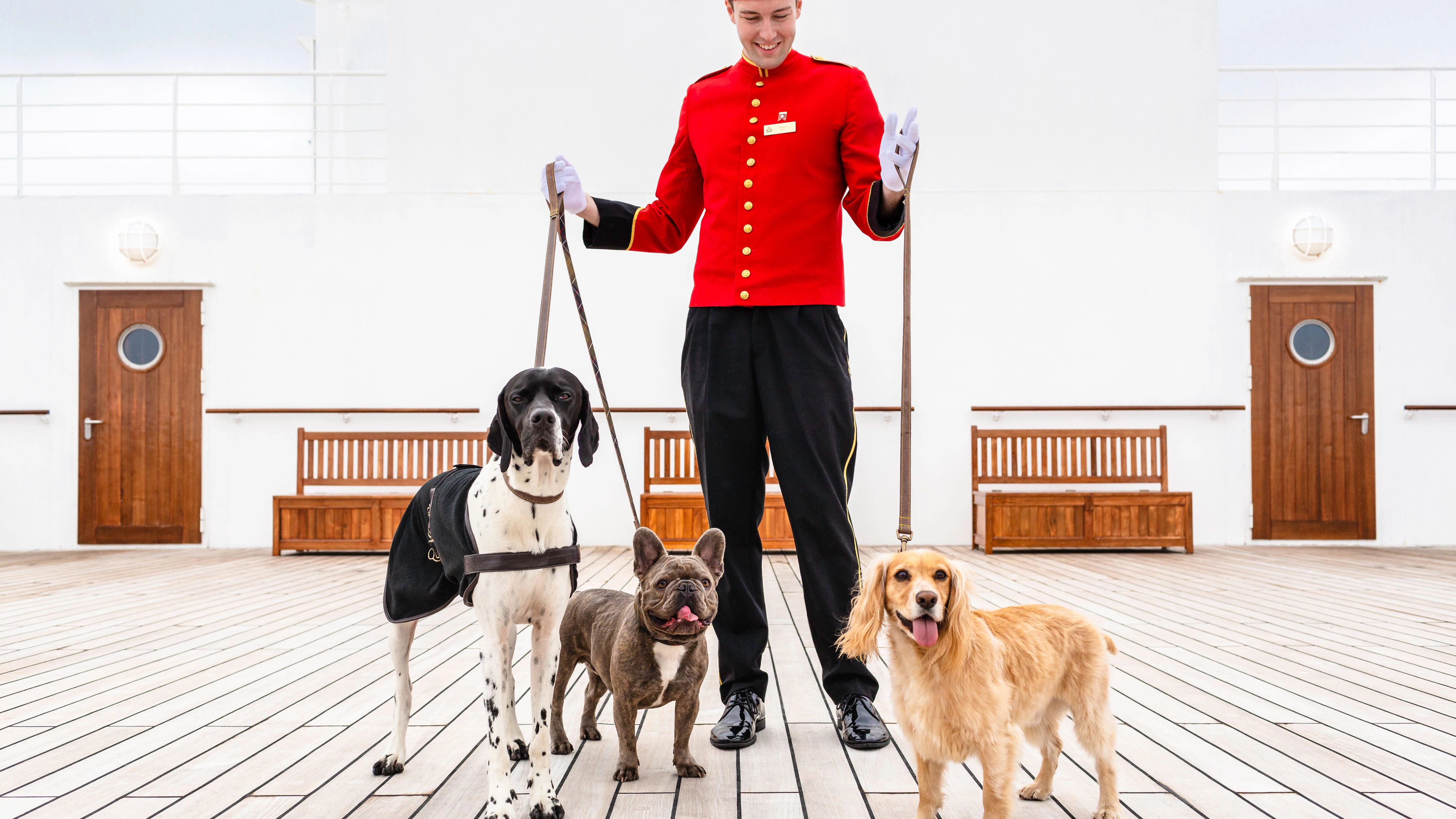 24 Zwinger, Platz zum Spielen und eine eigene Lounge für die Tierhalter: Hunde können an Bord der „Queen Mary 2“ mitreisen.