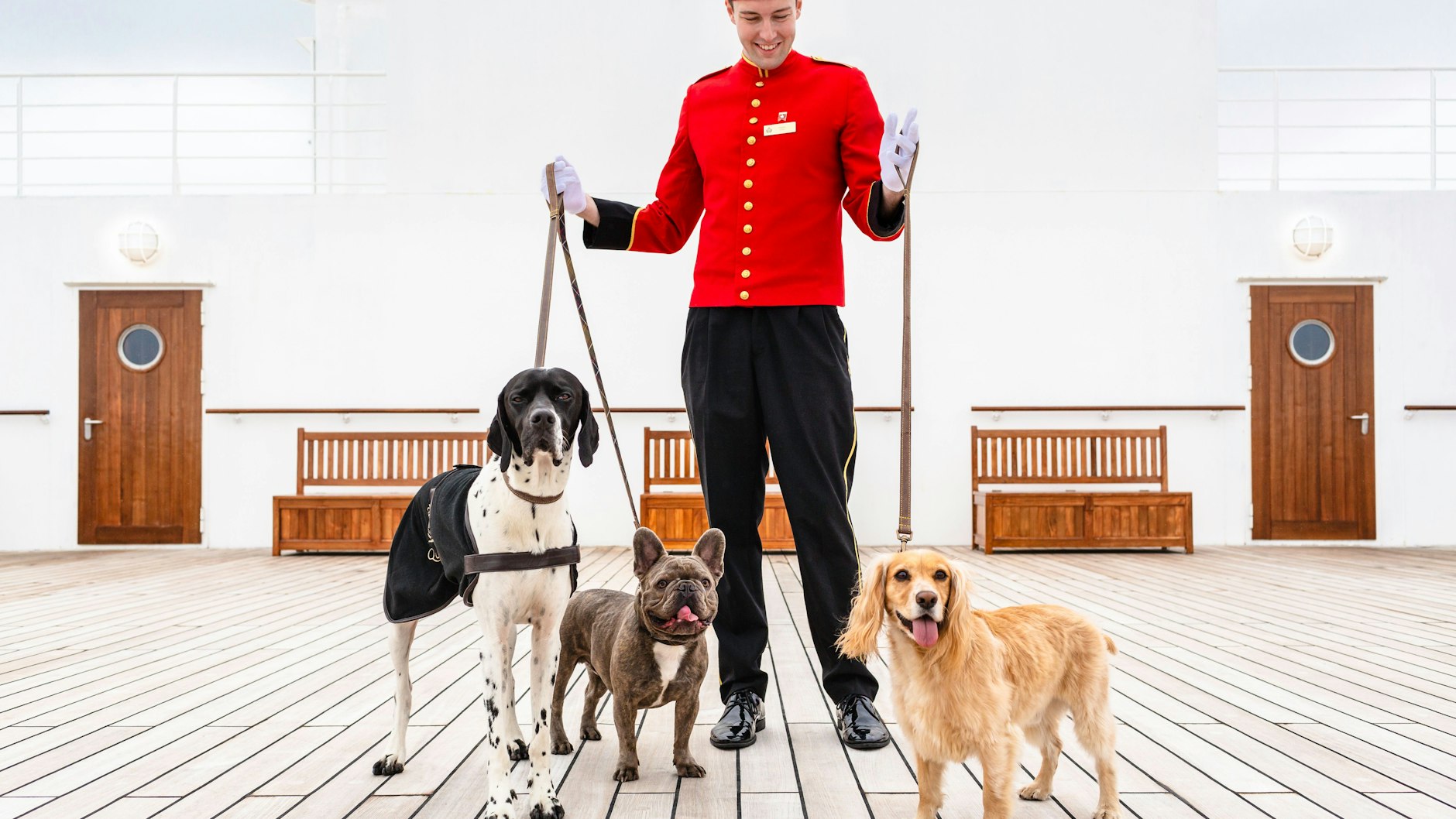 24 Zwinger, Platz zum Spielen und eine eigene Lounge für die Tierhalter: Hunde können an Bord der „Queen Mary 2“ mitreisen.