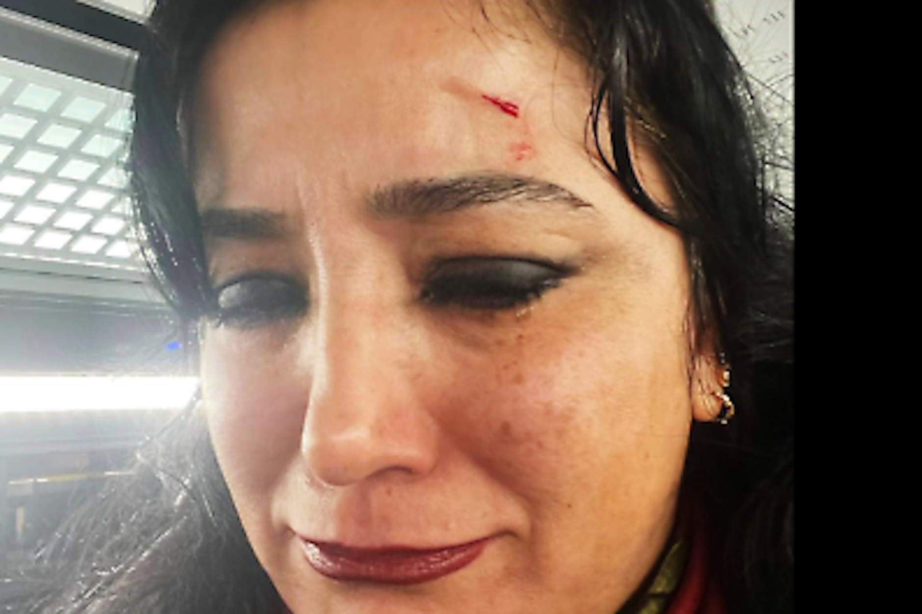 Die Bundestagsabgeordnete Gökay Akbulut (Die Linke) wurde im Zug rassistisch und sexistisch attackiert.