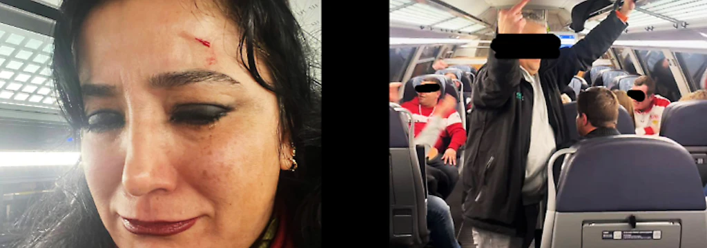 UPDATE+++Linken-Abgeordnete Akbulut im Zug sexistisch attackiert und verletzt