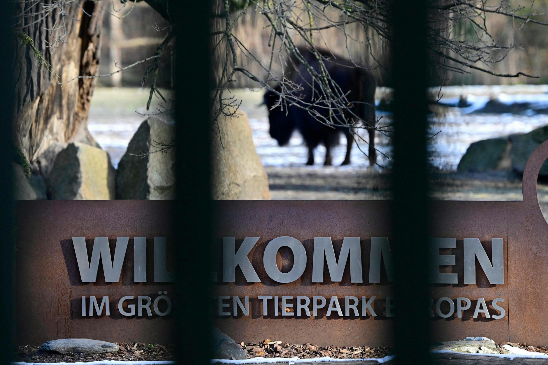 Der Tierpark in Lichtenberg öffnet bald wieder.