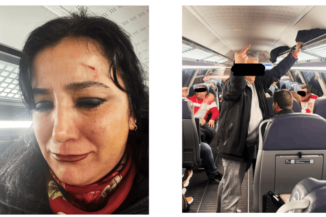 Die Linke-Politikerin Akbulut hat Anzeige erstattet. Doch stimmt ihre Version der Geschichte?