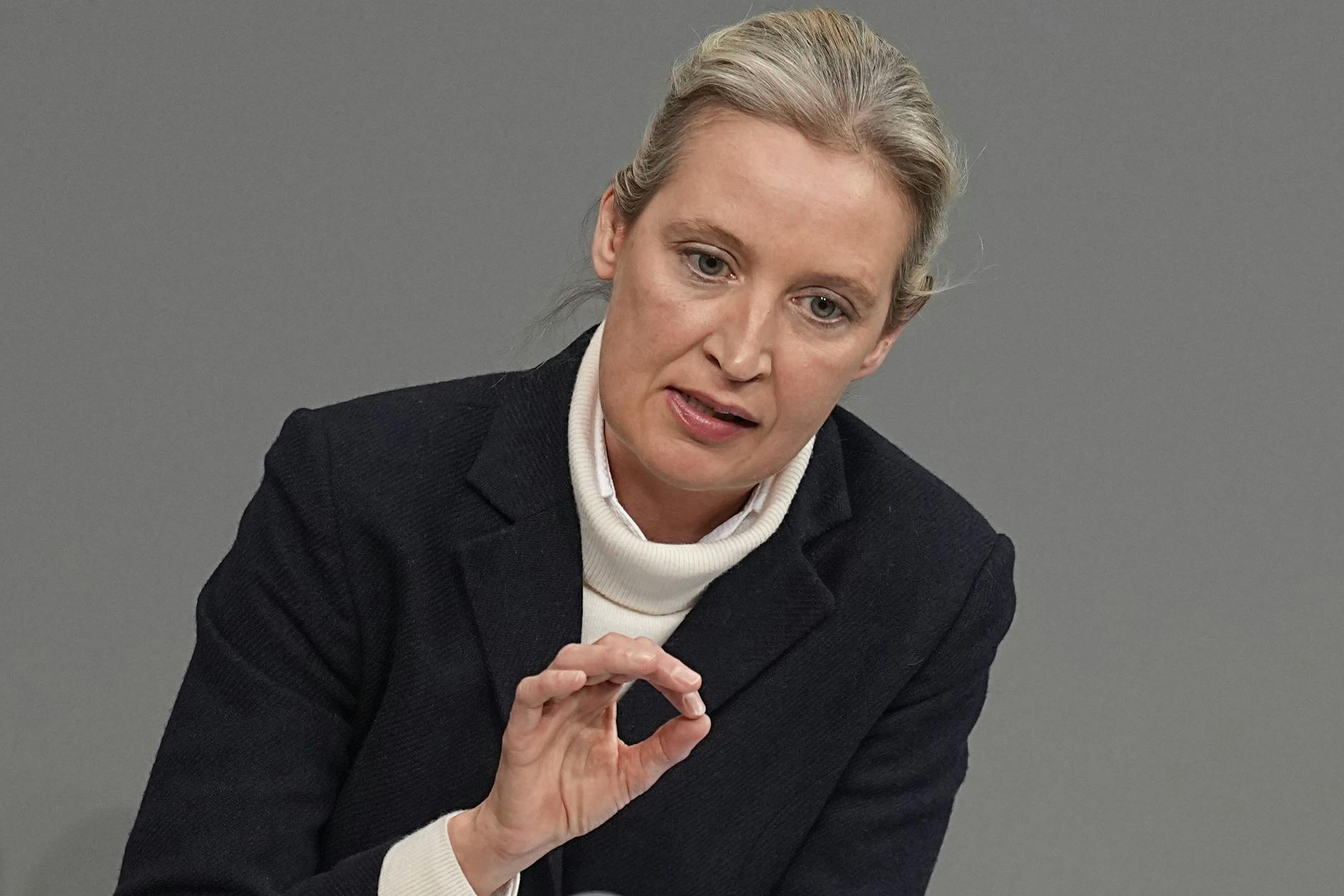 Die AfD-Vorsitzende Alice Weidel spricht von Demokratie ohne Volk.