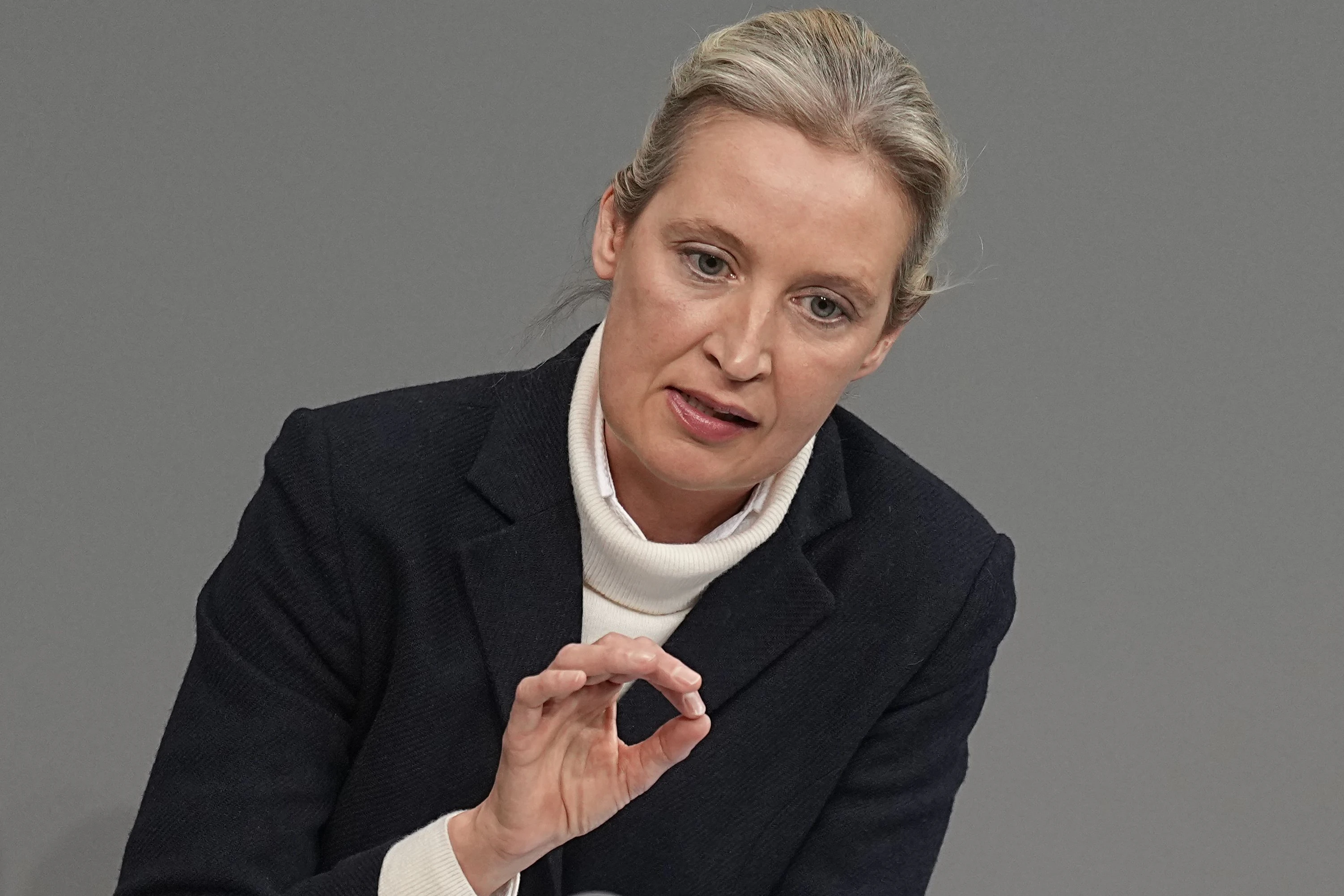 Die AfD-Vorsitzende Alice Weidel spricht von Demokratie ohne Volk. 