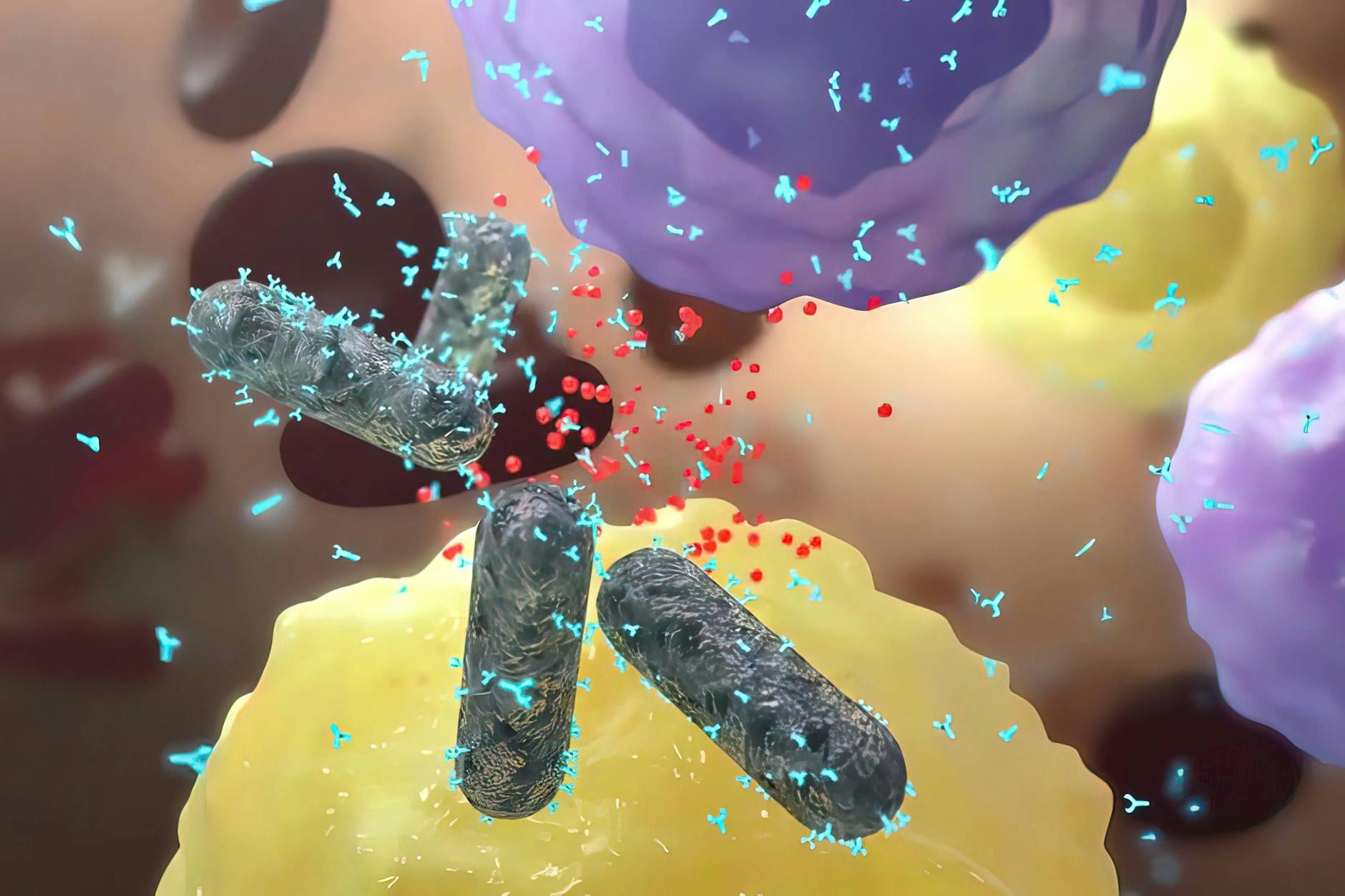 Diphtherie-Erreger: So sehen sie unter dem Mikroskop aus.