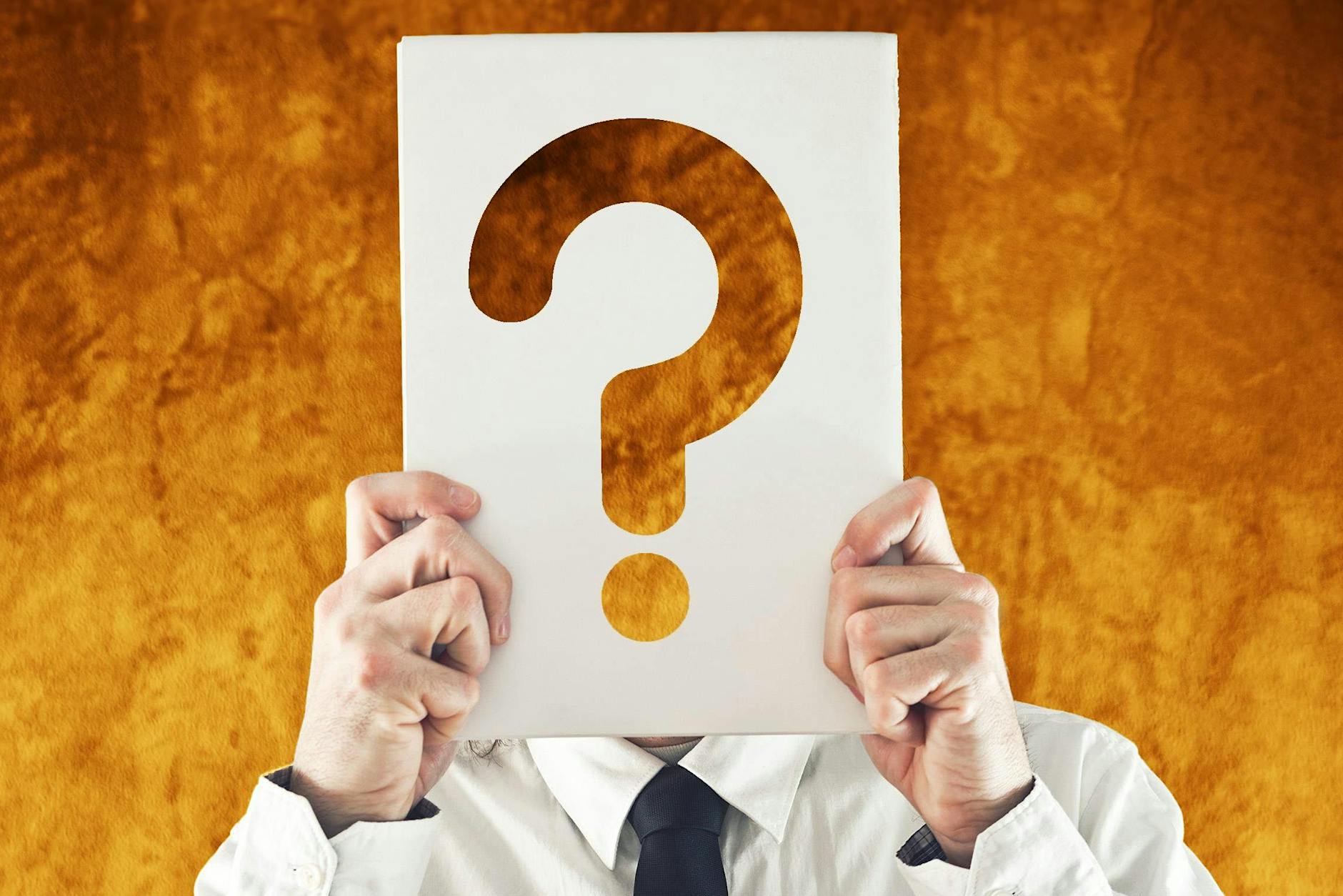 Wie viele Bundesländer hat Deutschland? Das Quiz des Tages für Montag!