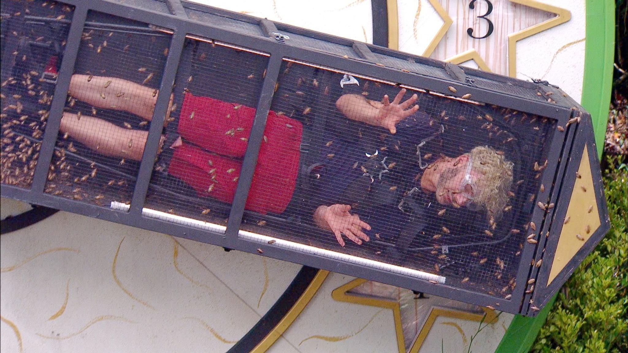 Dschungel-Horror: Was hilft gegen die Angst vor Spinnen und Würmern?