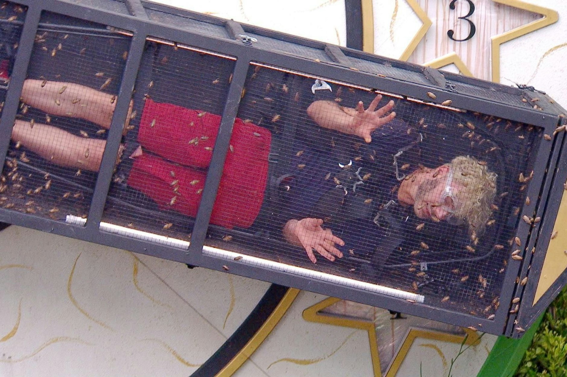 Sam Dylan muss bei der Dschungelprüfung seinen Käfig mit Kakerlaken, grünen Ameisen und Mehlwürmern teilen.