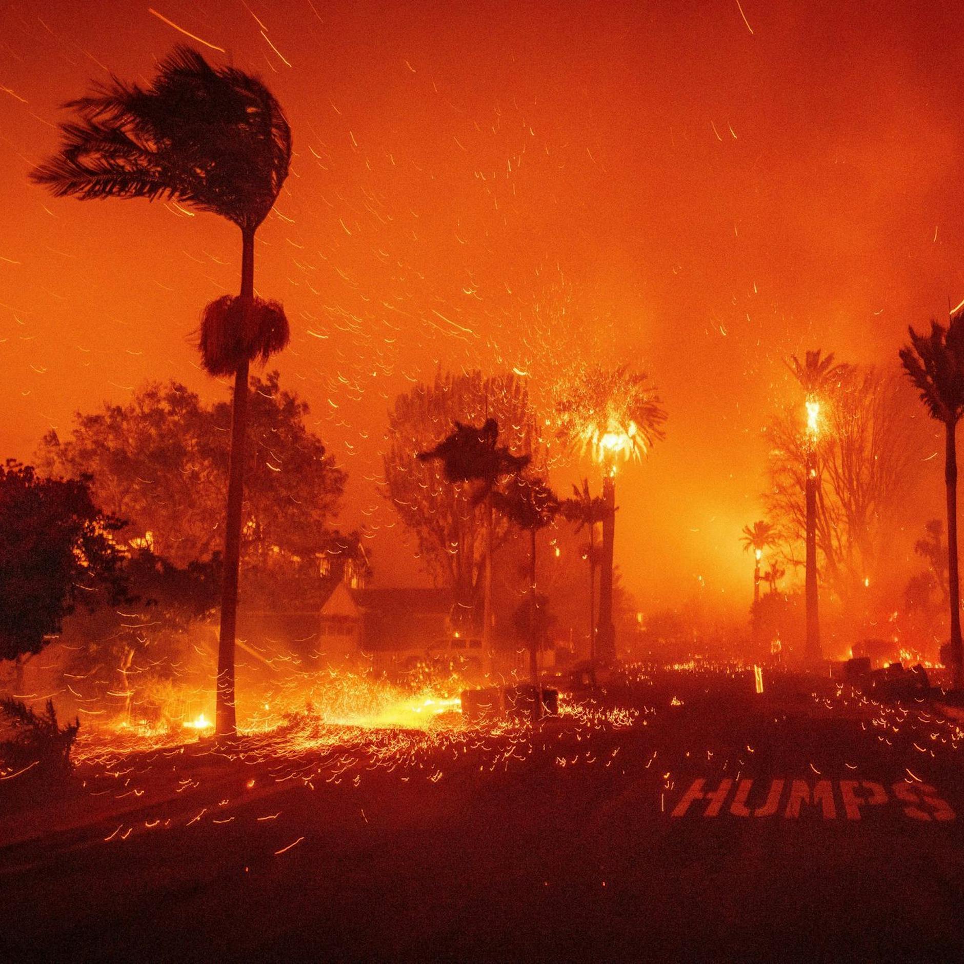 Image - Feuerwetter: Was haben die Brände in Los Angeles mit dem Klimawandel zu tun?