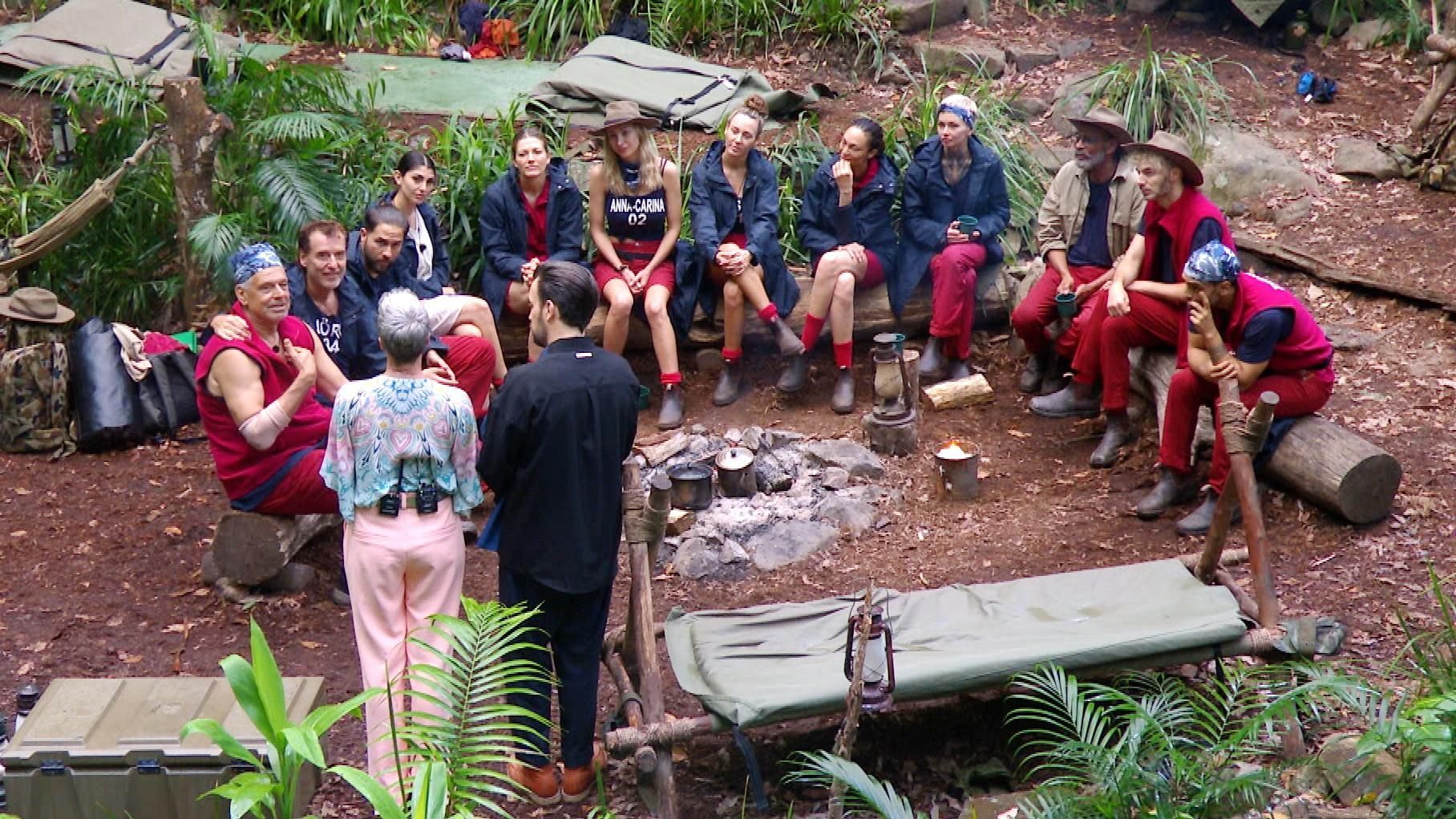 Entsetzen im Dschungelcamp: DIESER Promi muss das Camp verlassen!