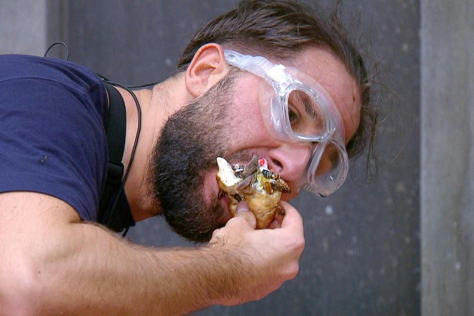 Maurice Dziwak muss sich in der neuesten Folge des DSchungelcamp durch eine echte Ekel-Prüfung futtern.