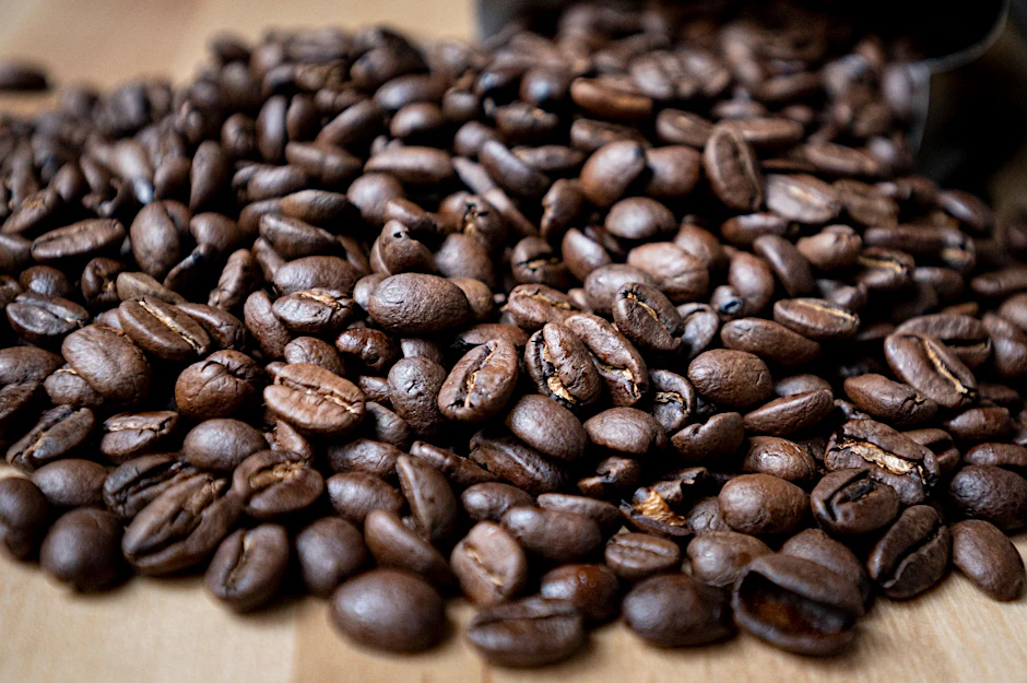 Kaffeebohnen werden immer teurer. Marktführer Tchibo erhöht erneut die Preise für Kaffee