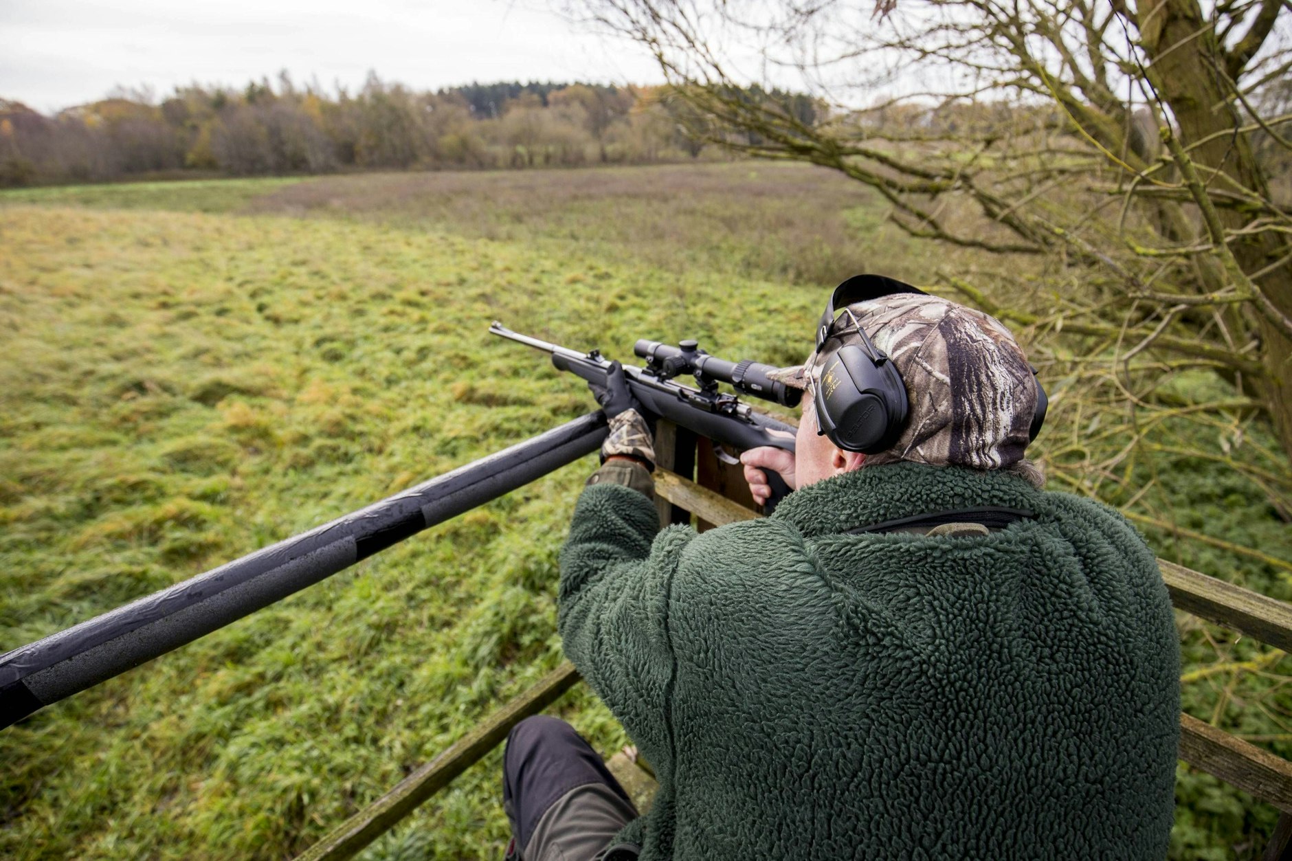 Brandenburg will Wölfe zum Abschuss freigeben.