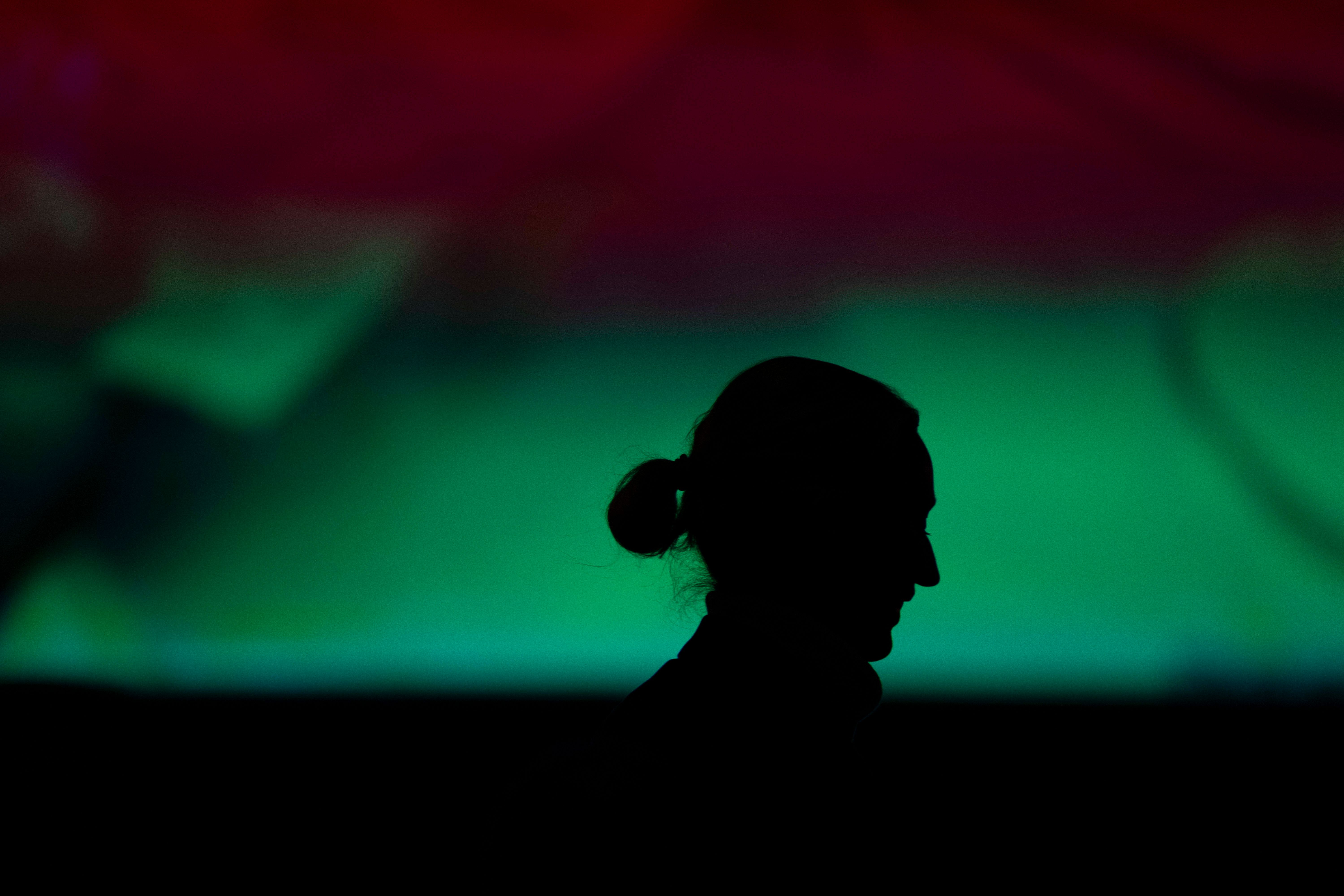 Geleakter AfD-Bericht: Darum hält ihn der Verfassungsschutz geheim!