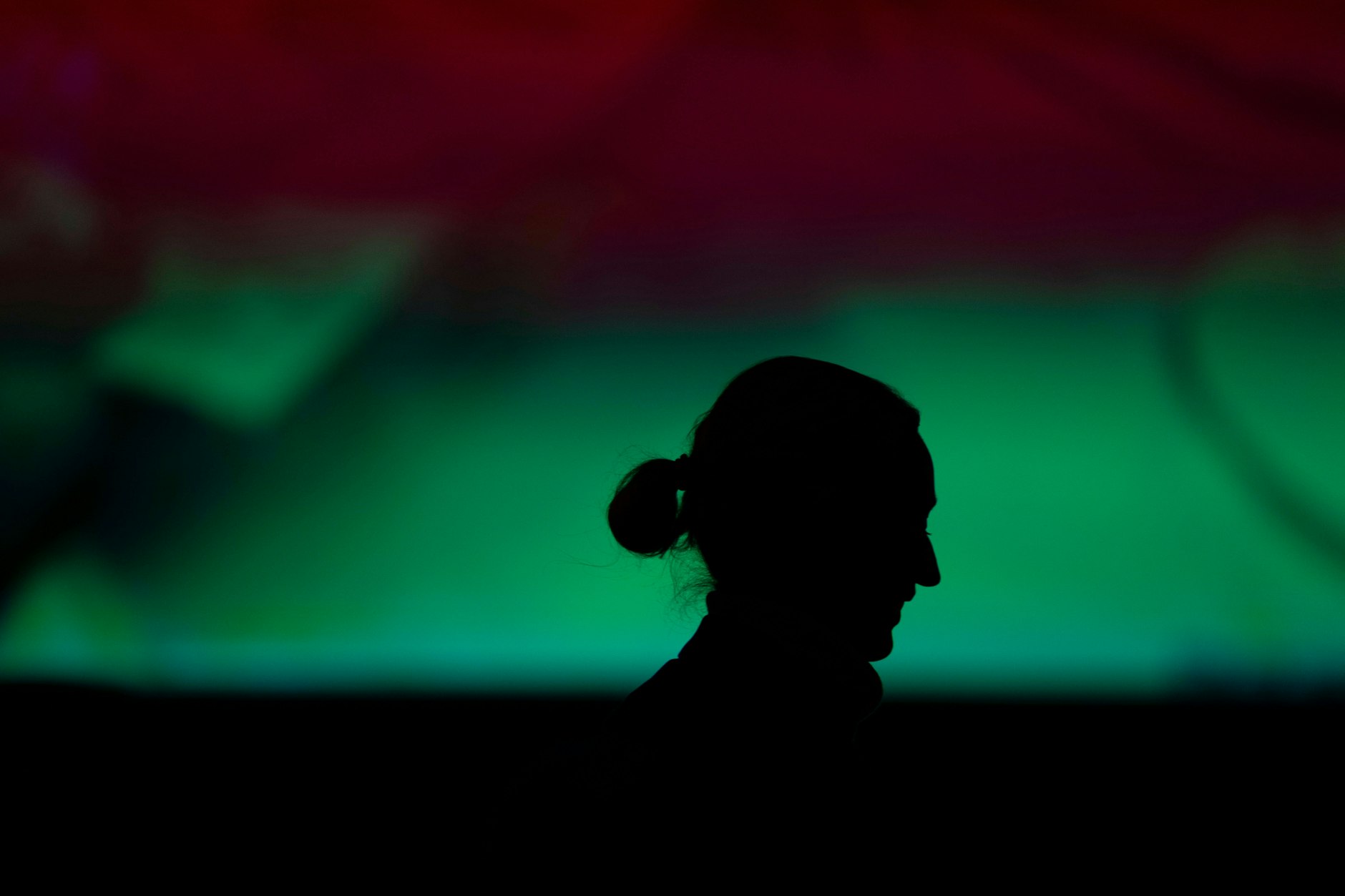 AfD-Kanzlerkandidatin Alice Weidel bei einer Wahlkampf-Veranstaltung in Neu-Isenburg