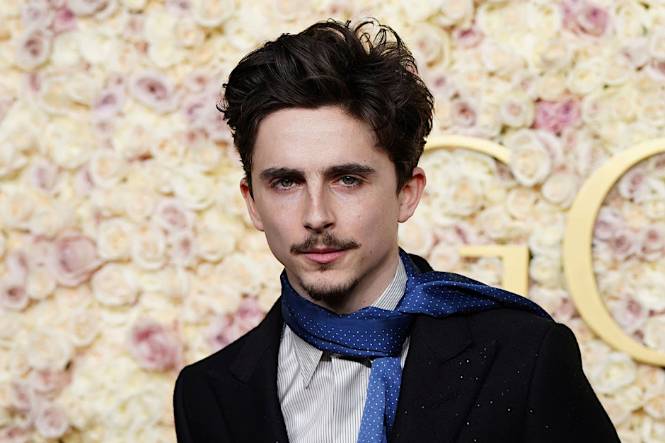 Schauspieler Timothée Chalamet.