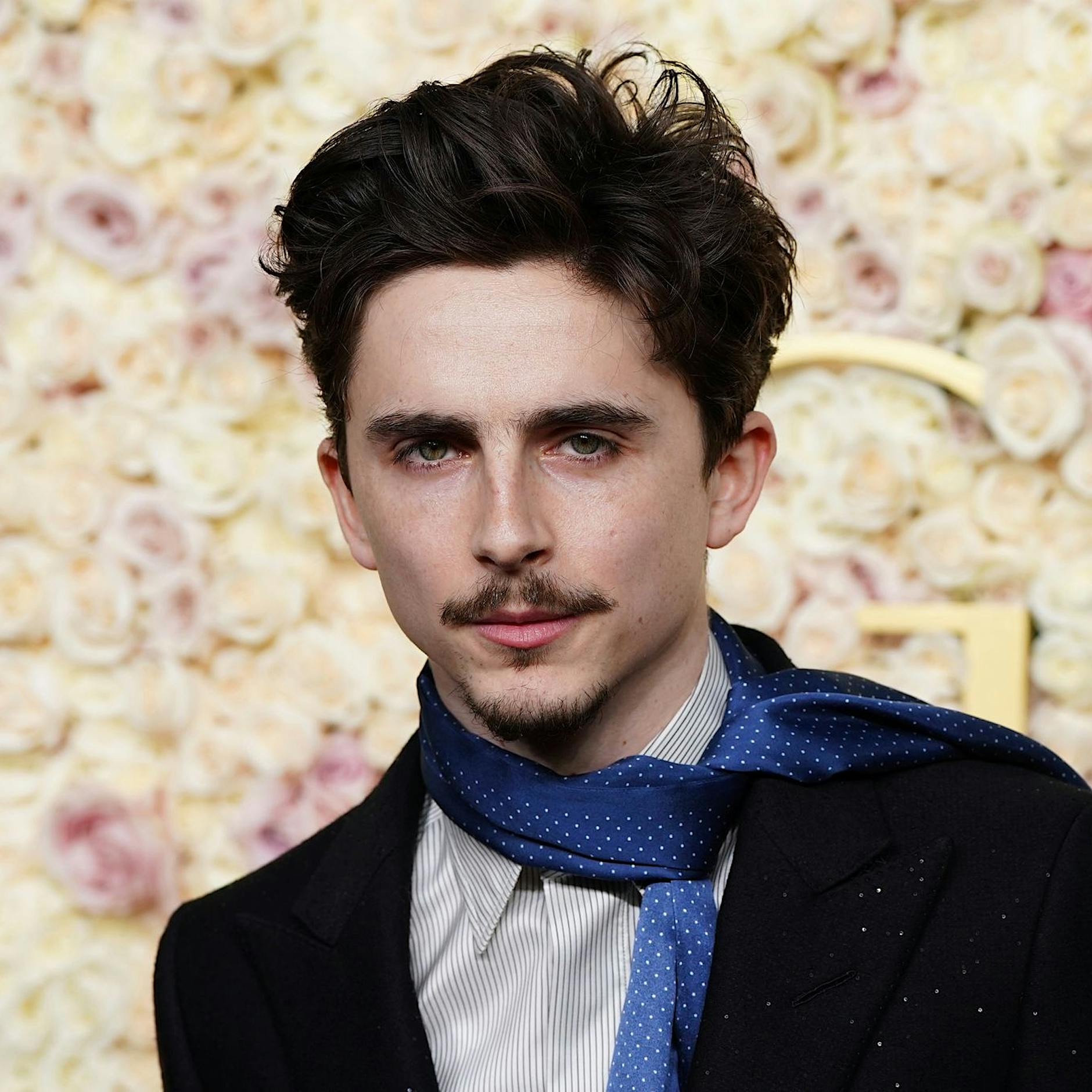 Berlinale: Timothée Chalamet am Valentinstag in Berlin erwartet