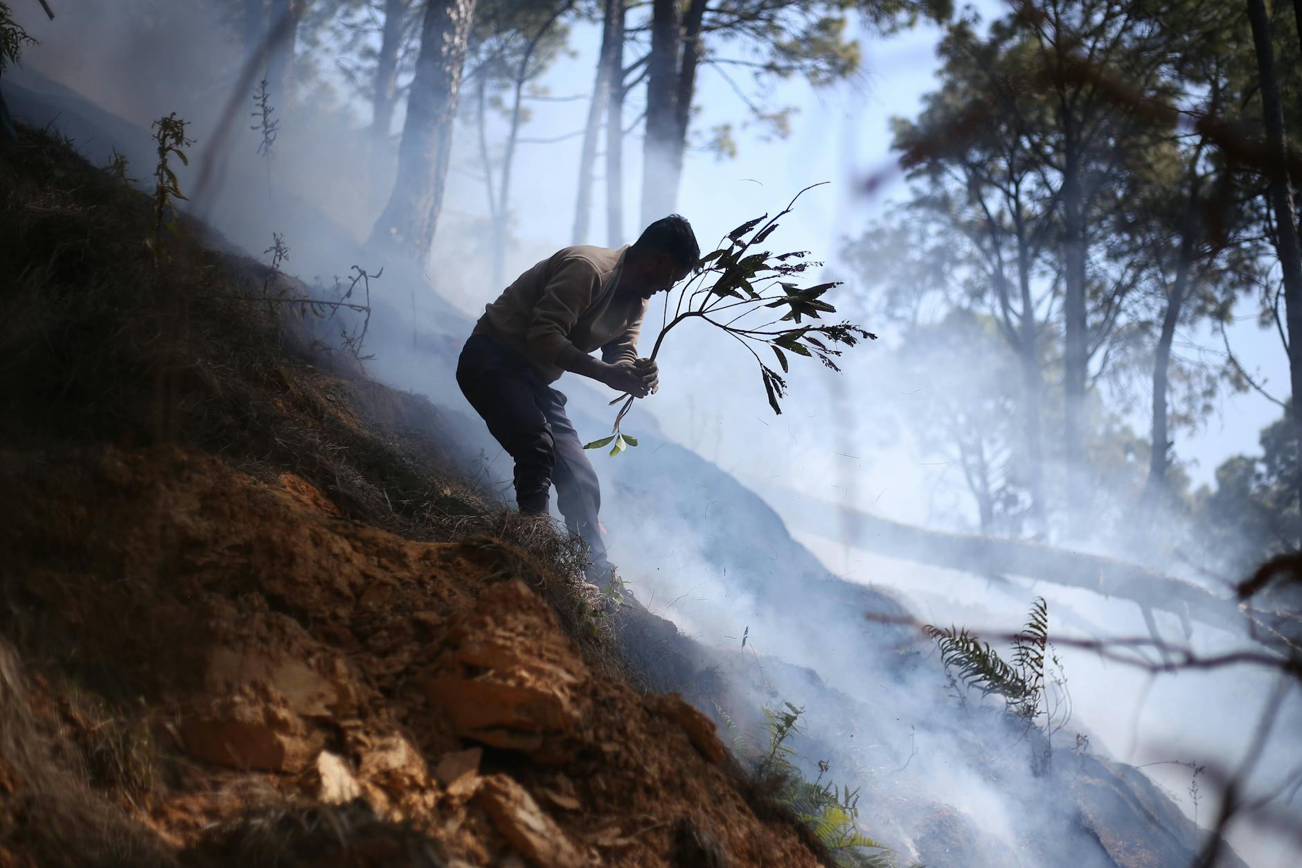 In Nepal beginnt die Waldbrandsaison.