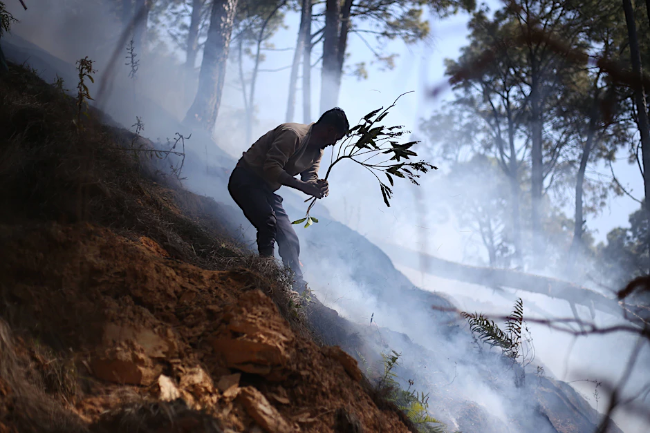 In Nepal beginnt die Waldbrandsaison.