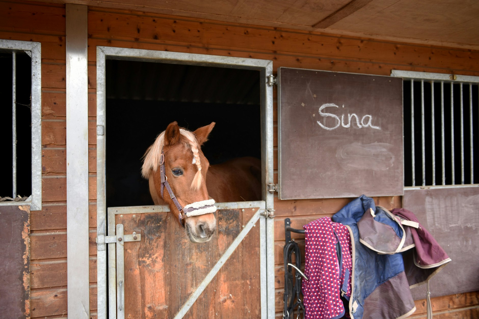 Sinas Box muss bald geräumt werden.