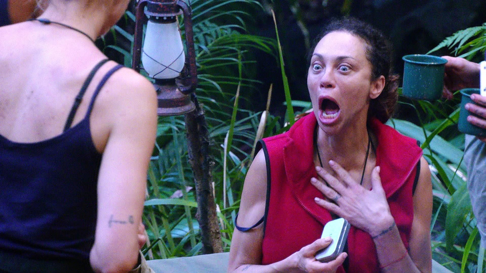 Image - Krasse Zahlen bei IBES! Wie viel Geld kostet Werbung im Dschungelcamp?