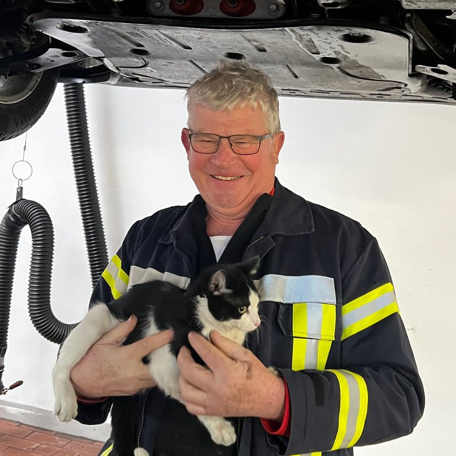 Unverletzt konnte der Kater aus dem Auto befreit werden.