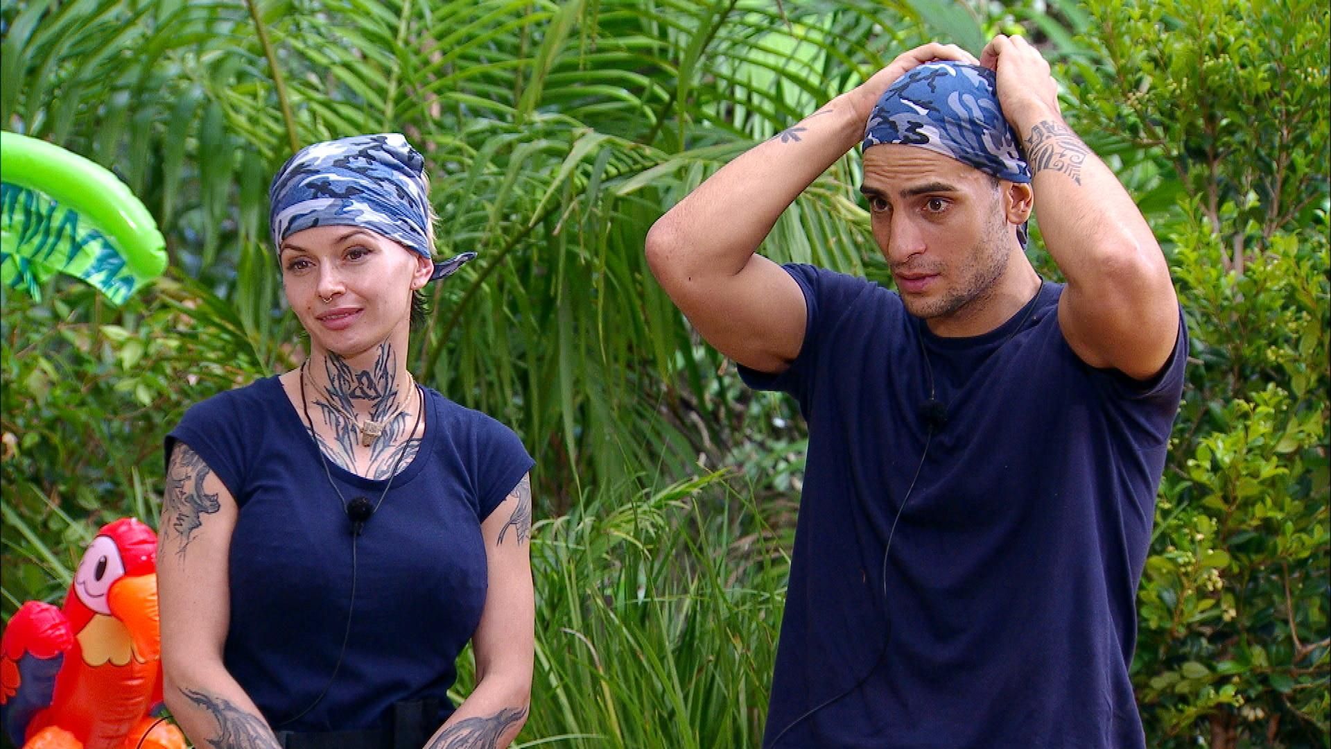 Image - Dschungelcamp-Hammer: DIESER Favorit muss die Show verlassen