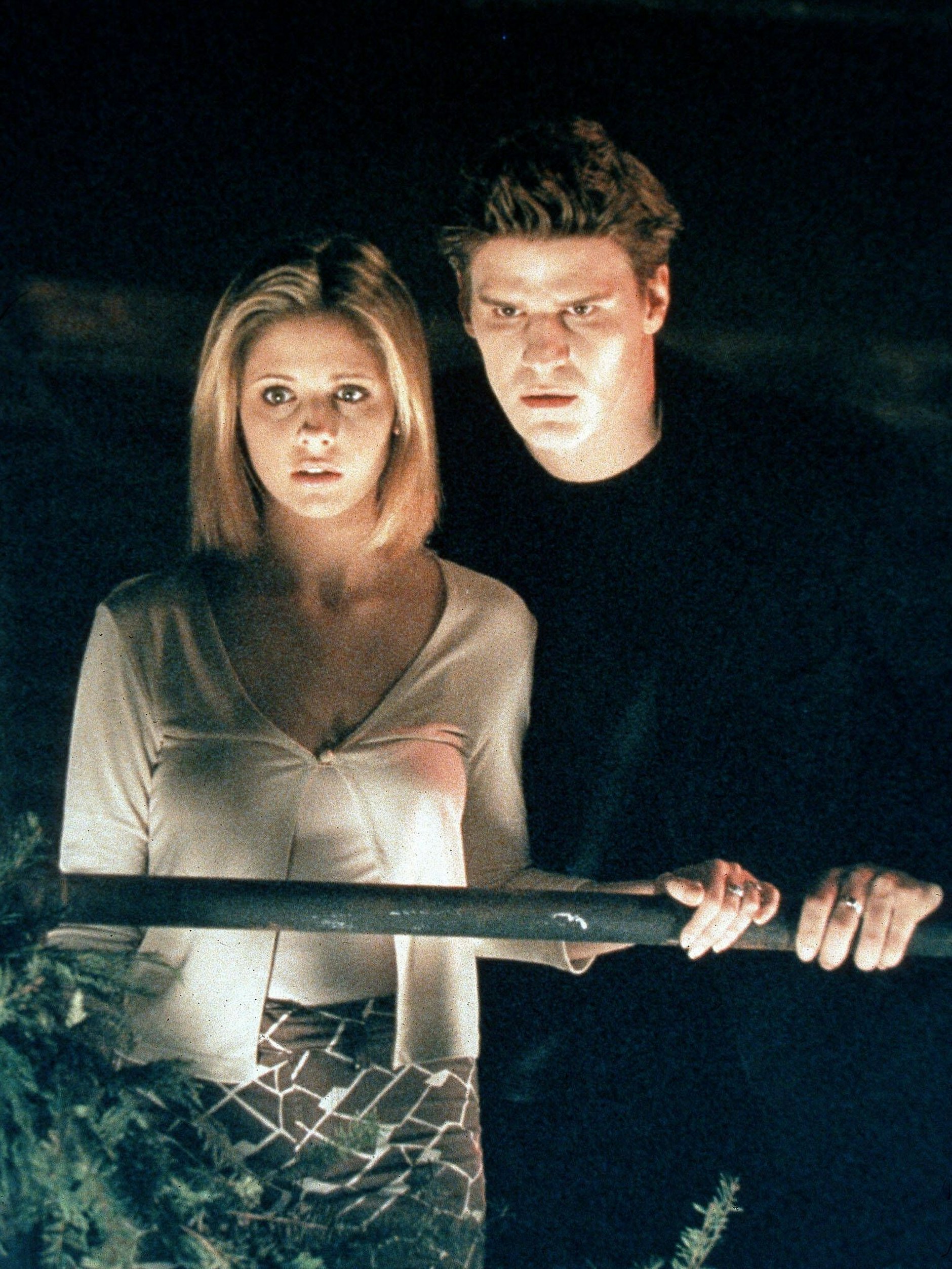 Von 1997 bis 2003 standen Sarah Michelle Gellar und David Boreanaz für „Buffy – Im Bann der Dämonen“ vor der Kamera.