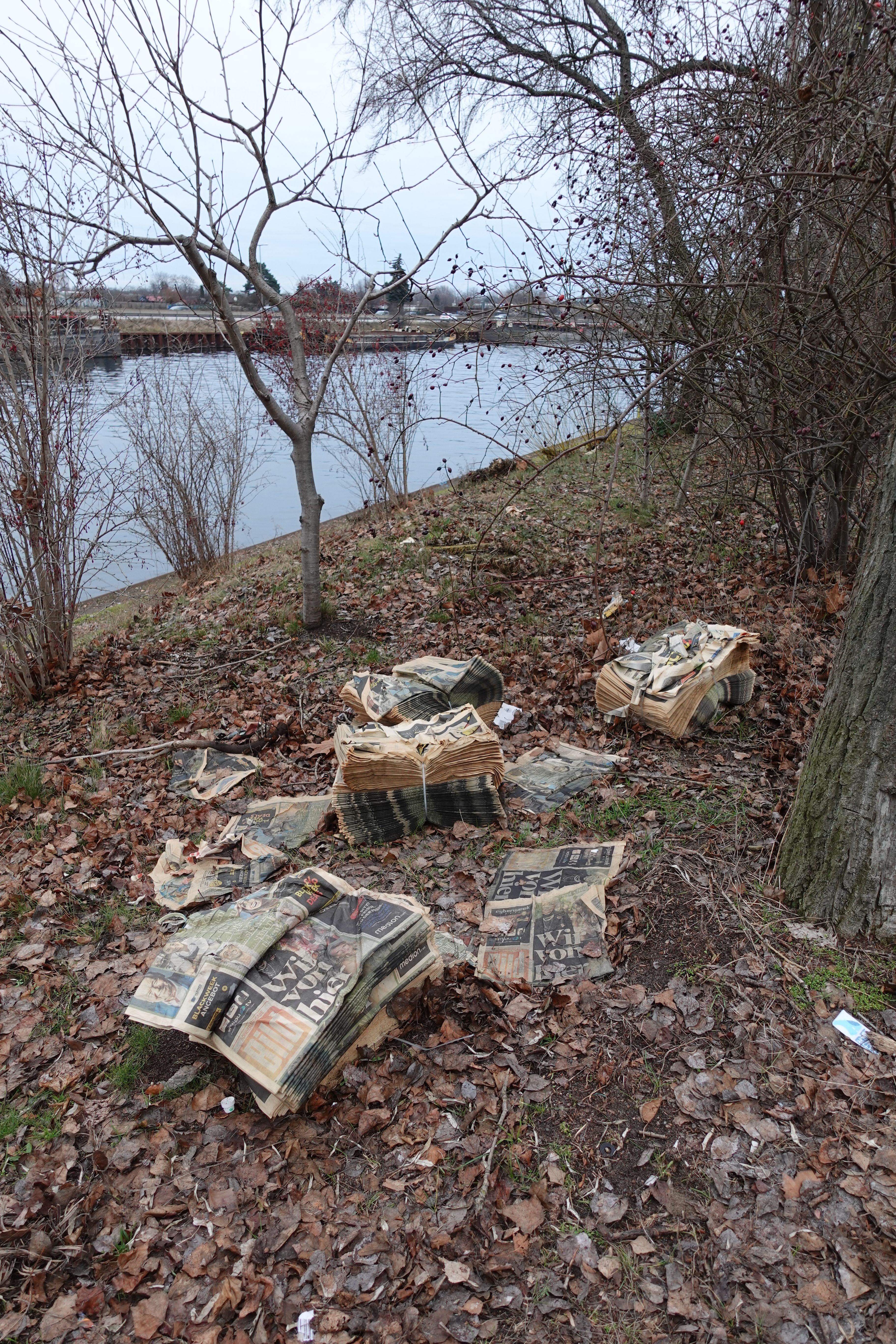 Umweltsauerei: Hunderte Bild-Zeitungen verrotten an Berliner Gewässer