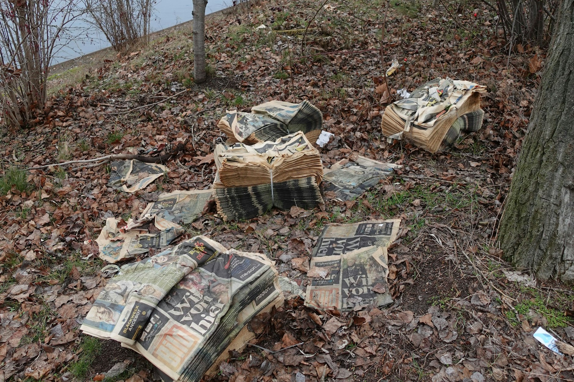 Mehrere Bündel mit Hunderten Exemplaren einer Bild-Sonderausgabe wurden einfach am Ufer des Westhafenkanals entsorgt.