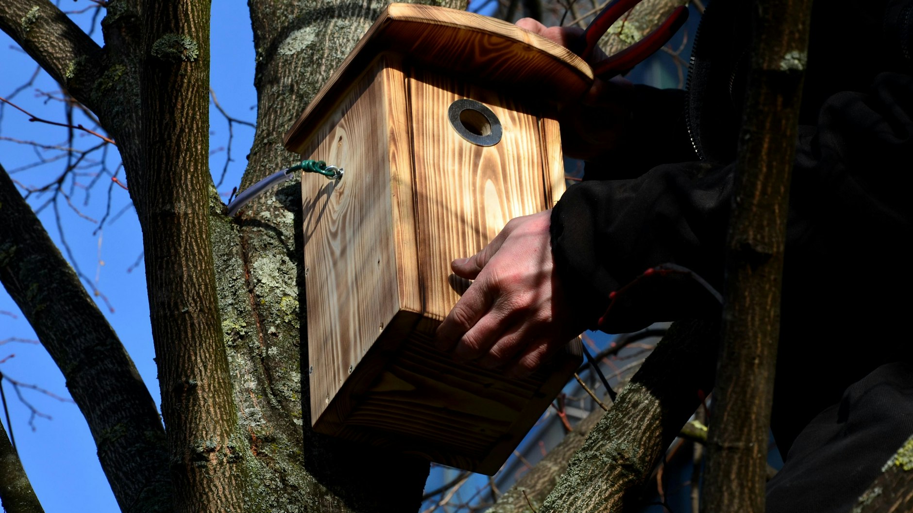 Wer einen Nistkasten im Garten haben möchte, sollte ihn jetzt im Februar aufhängen, bevor die ersten Vögel mit dem Brüten beginnen.