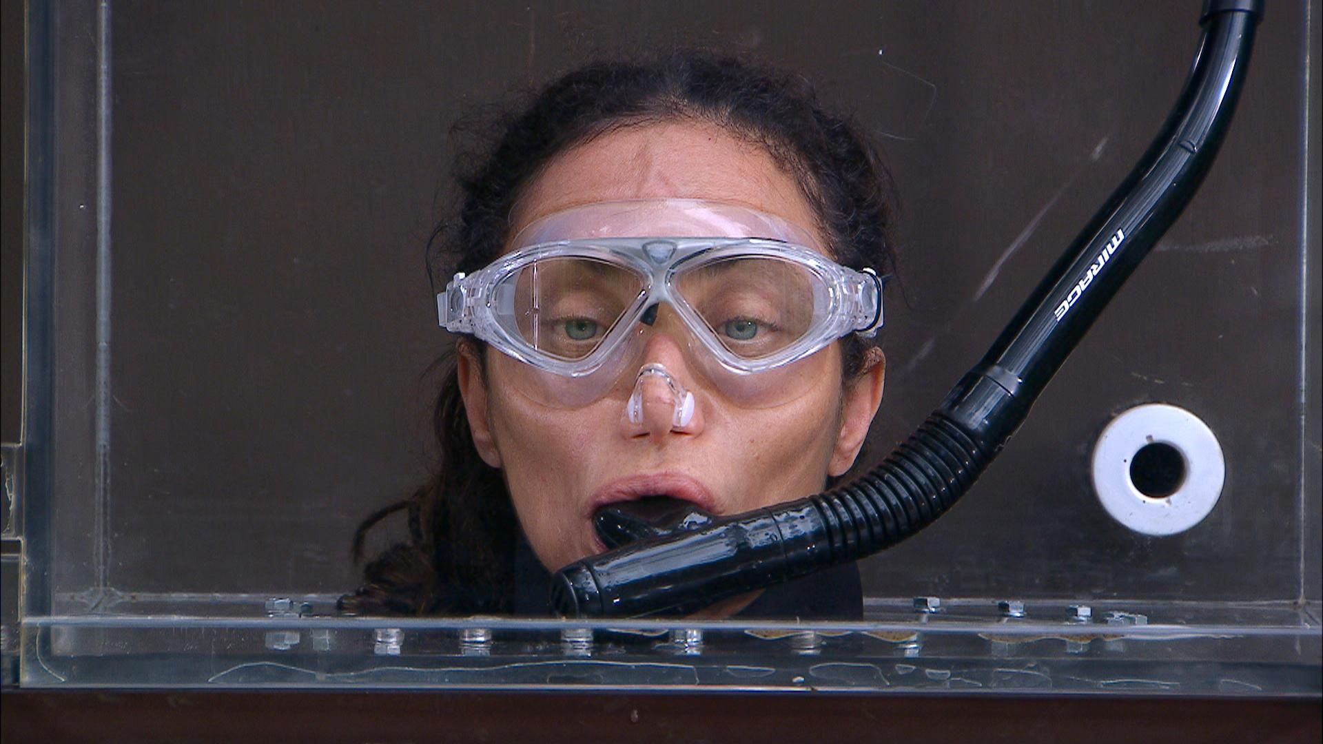 Null Sterne, aber die Krone: Lilly Becker wird Dschungelkönigin bei „Ich bin ein Star“