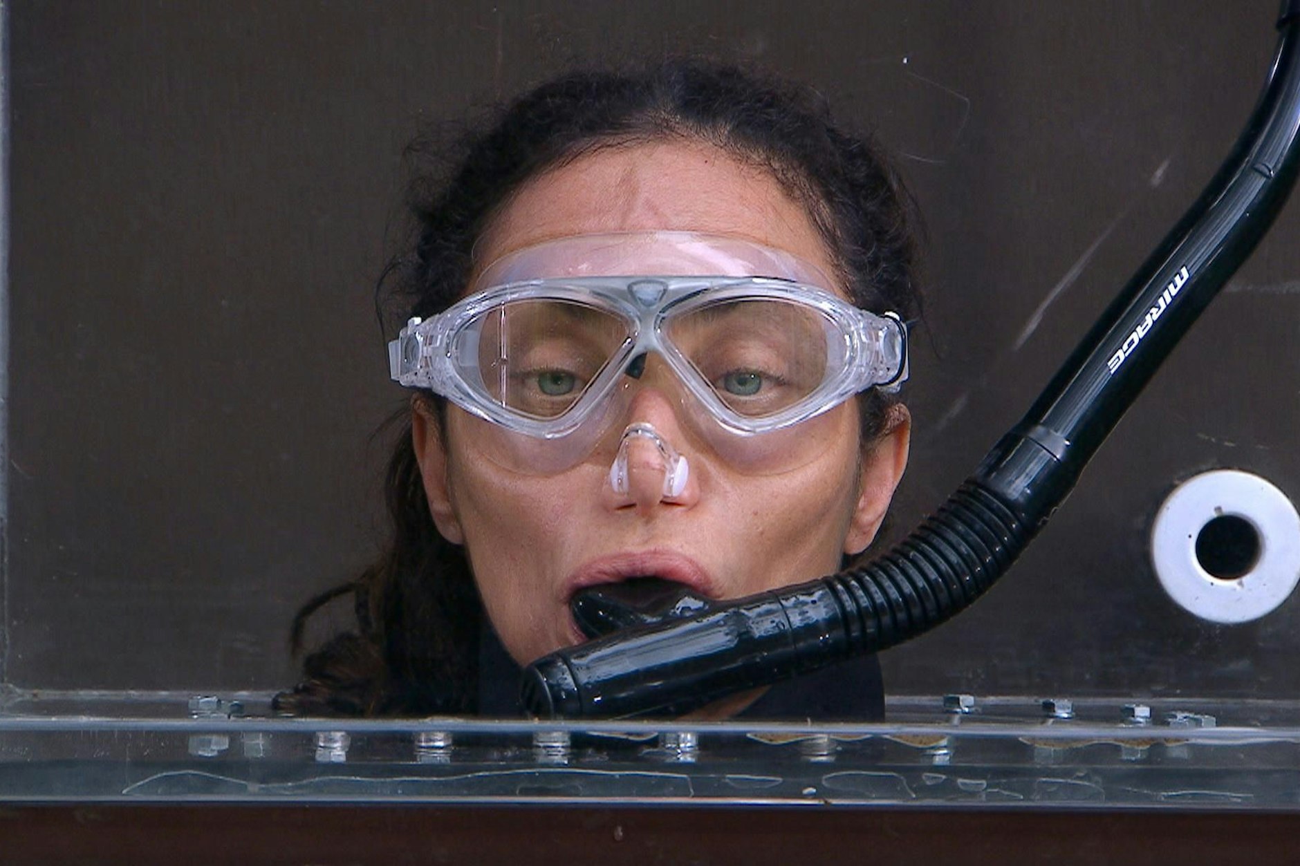 Hatte schon in neunjähriger Ehe mit Boris Becker mehr eisernes Durchhaltevermögen bewiesen: Lilly Becker vergeigte ihre letzte Prüfung.